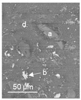 Lubricants 09 00038 i010