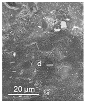 Lubricants 09 00038 i012