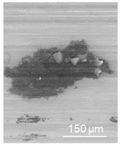 Lubricants 09 00038 i021