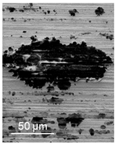 Lubricants 09 00038 i022