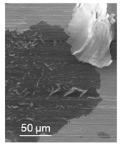 Lubricants 09 00038 i024