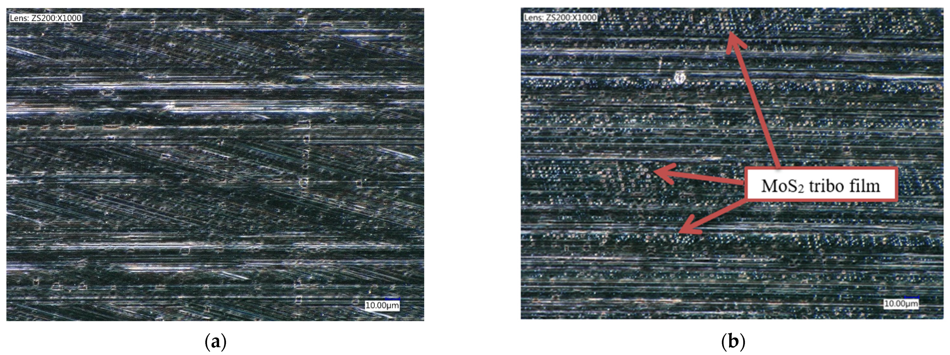 Lubricants 09 00045 g009 Lubricants 09 00045 g009