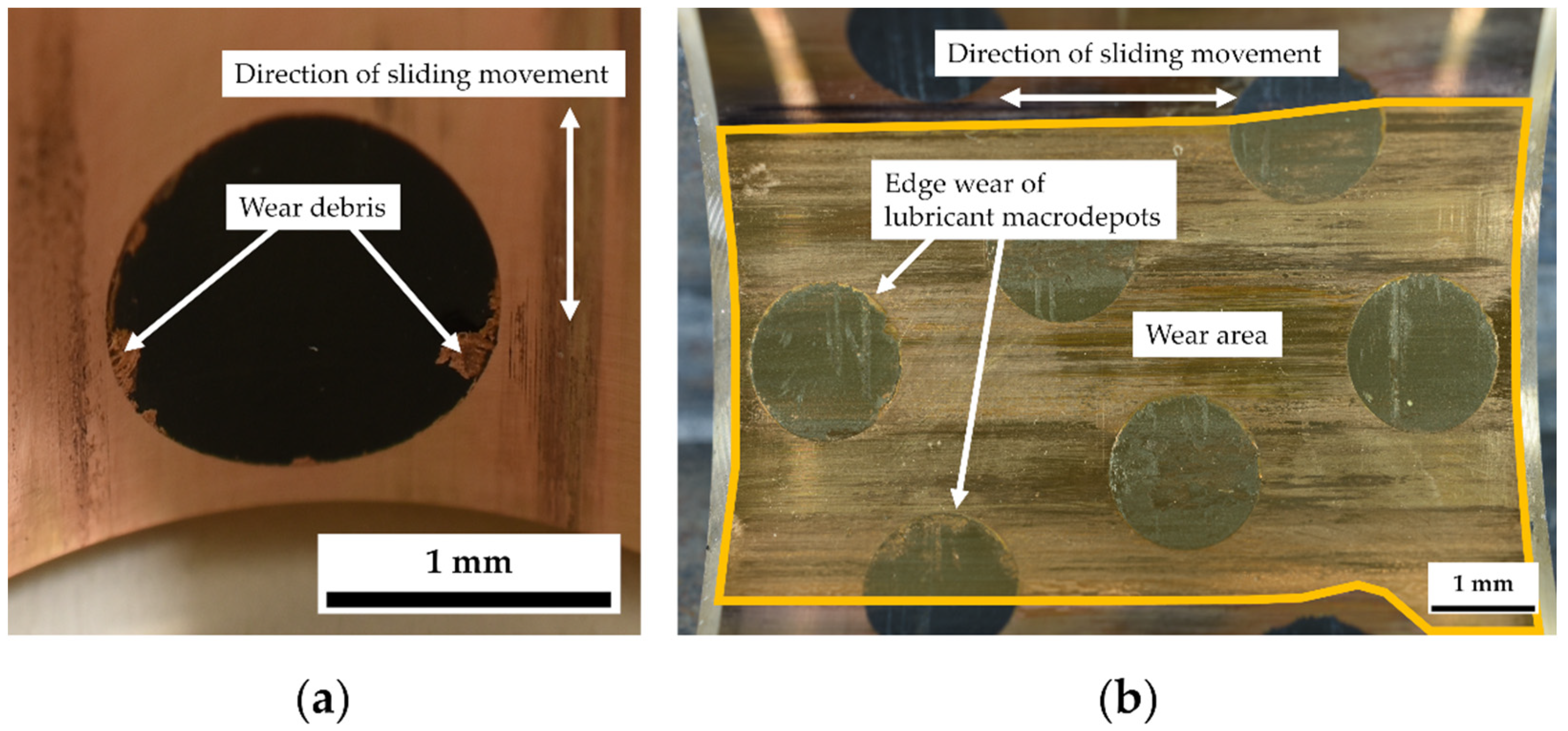 Lubricants 09 00050 g006