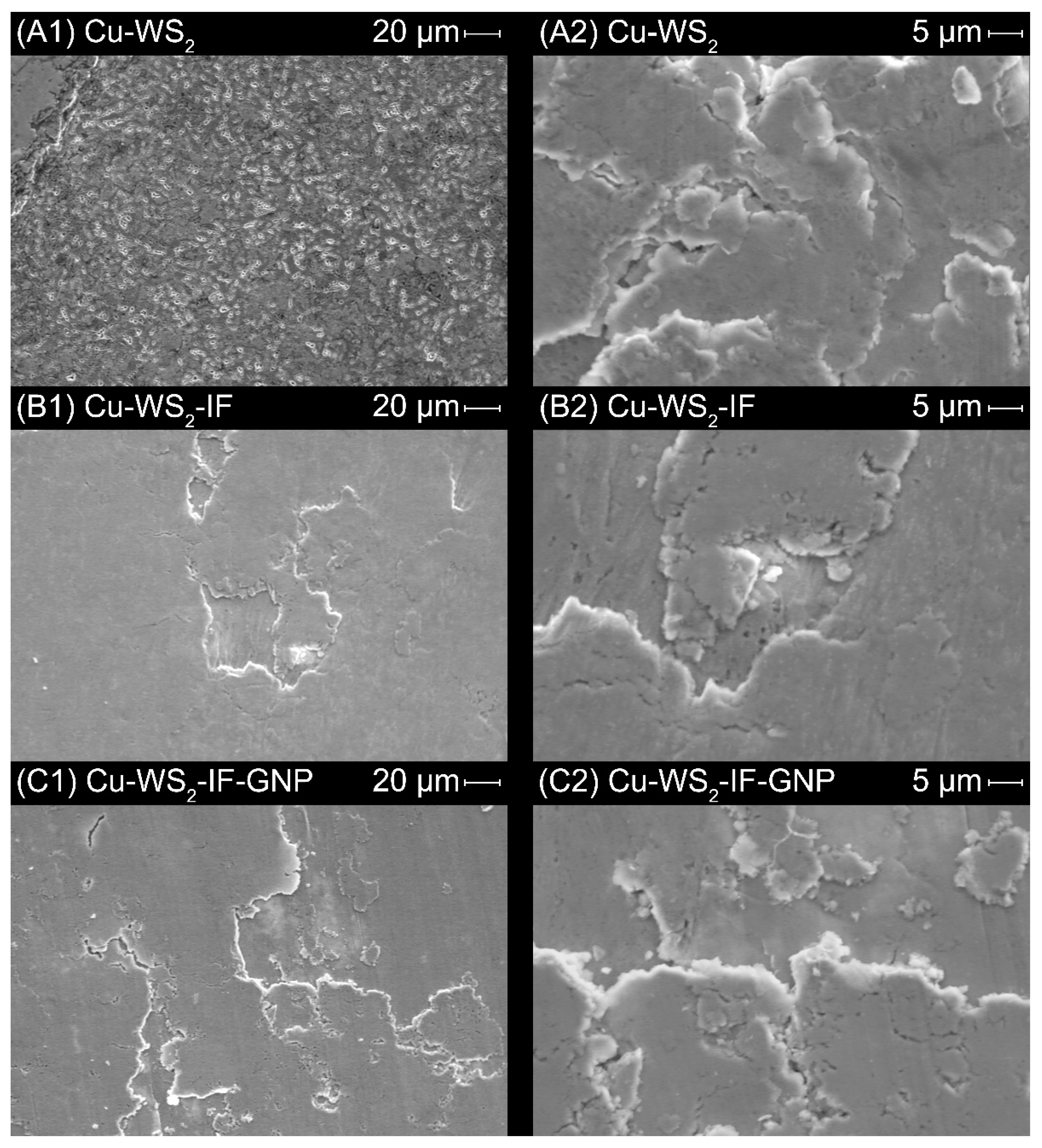 Lubricants 09 00053 g009 Lubricants 09 00053 g009