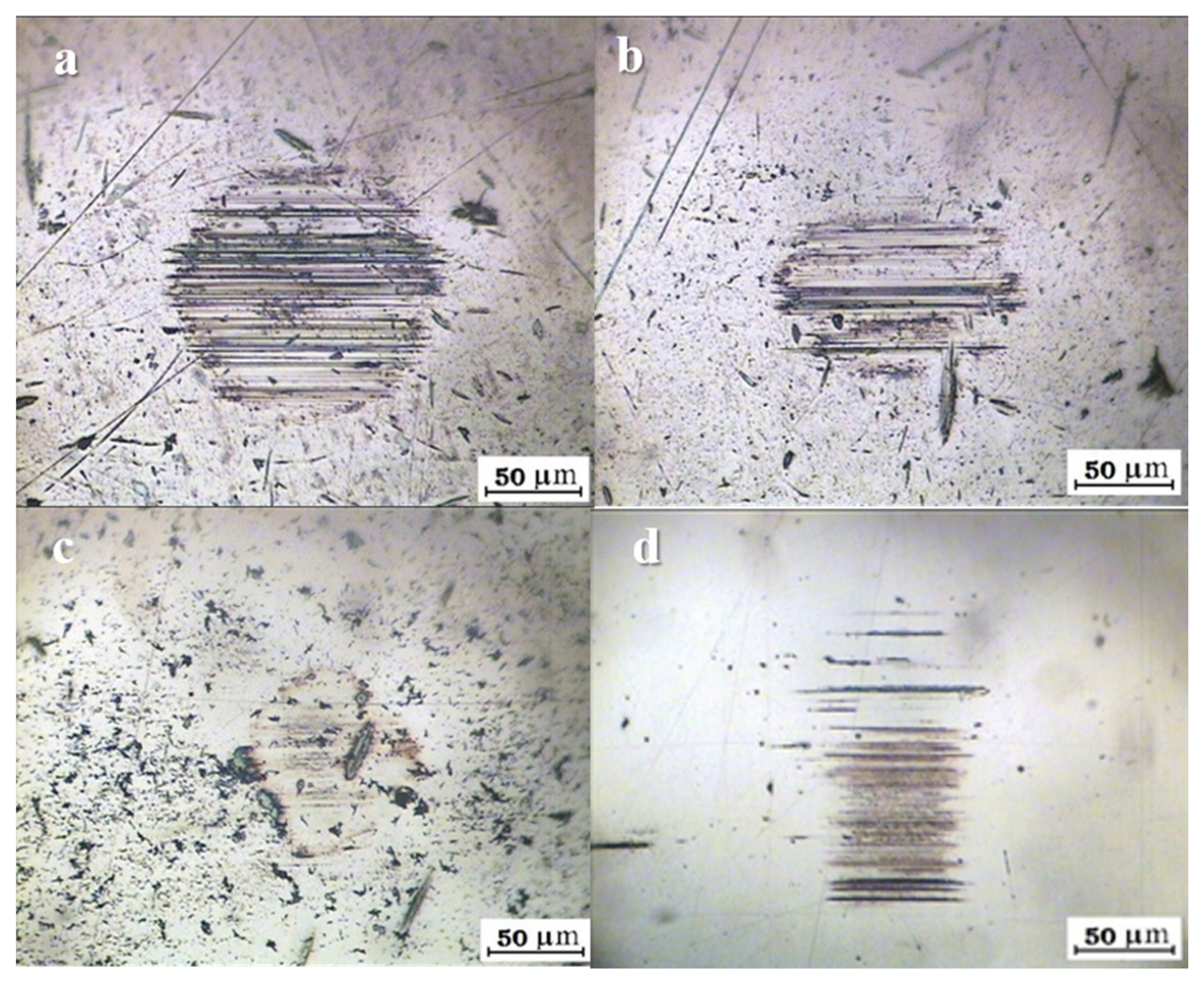 Lubricants 09 00078 g006