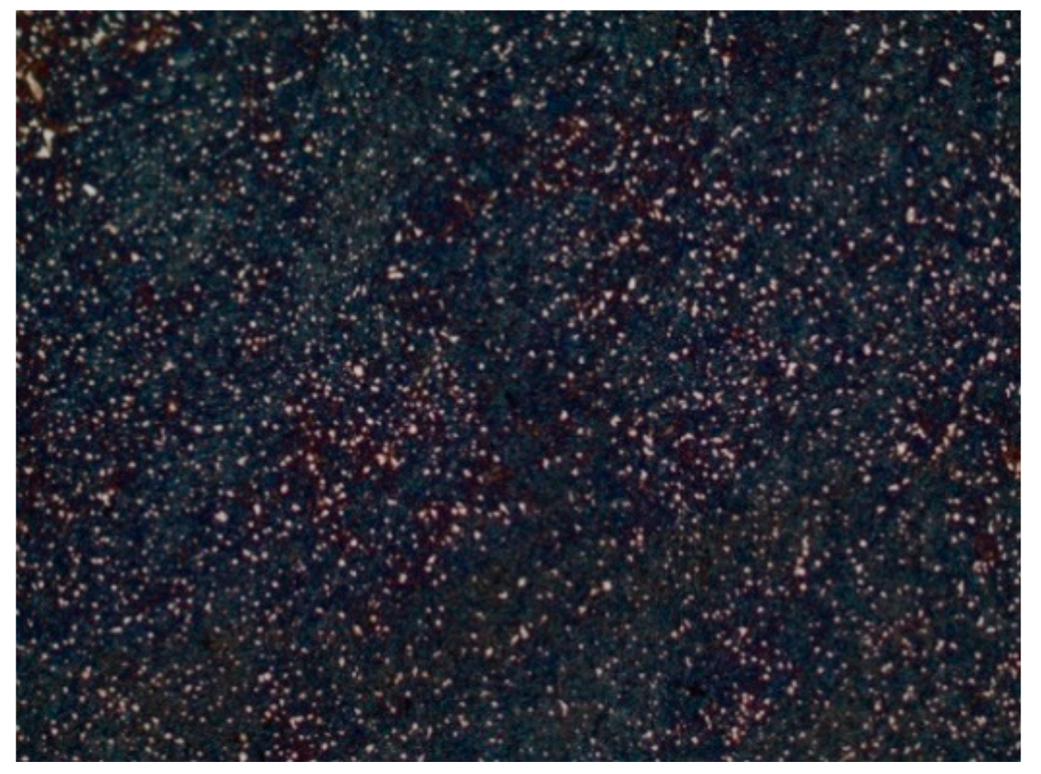 Lubricants 09 00079 g002 550