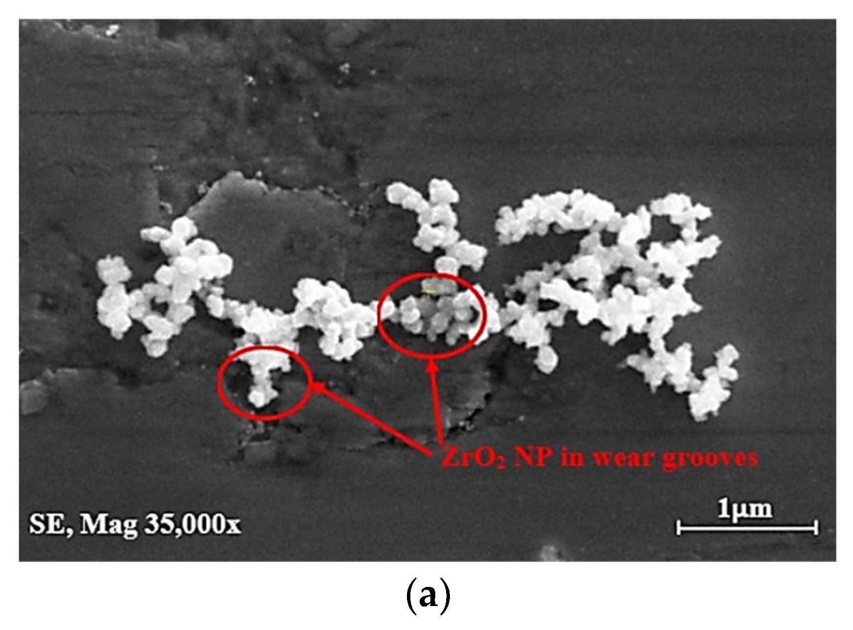 Lubricants 09 00085 g012a 550