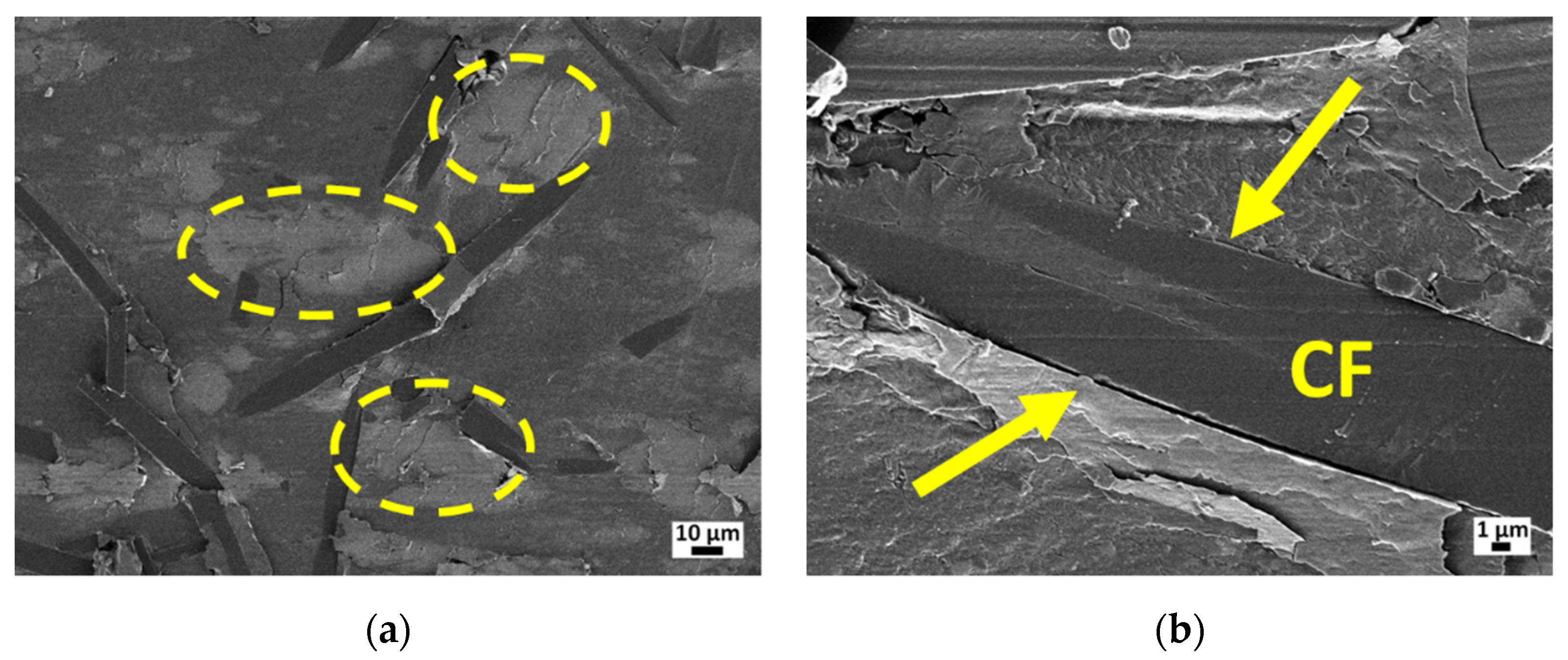 Lubricants 10 00004 g008 550