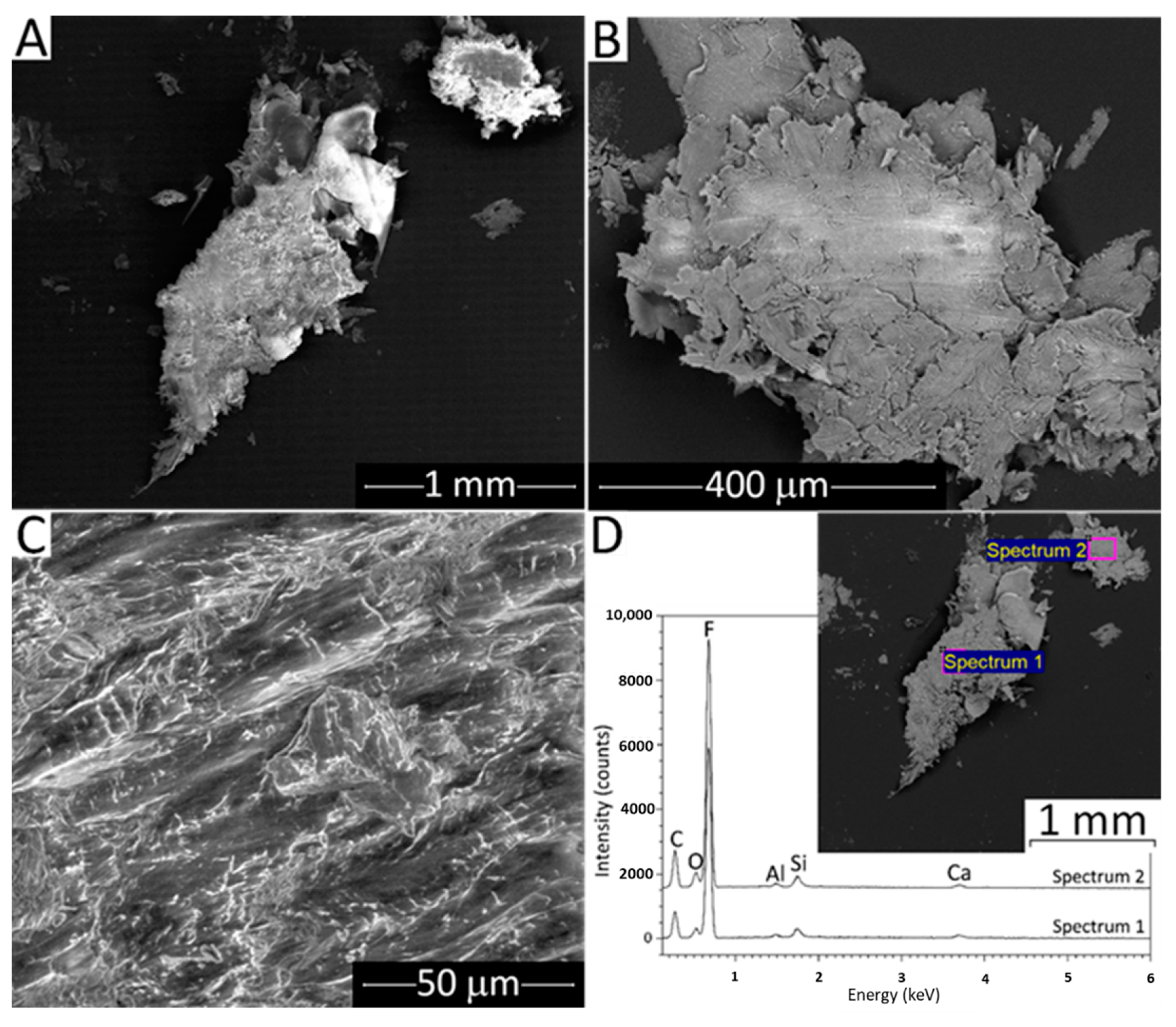 Lubricants 10 00005 g009