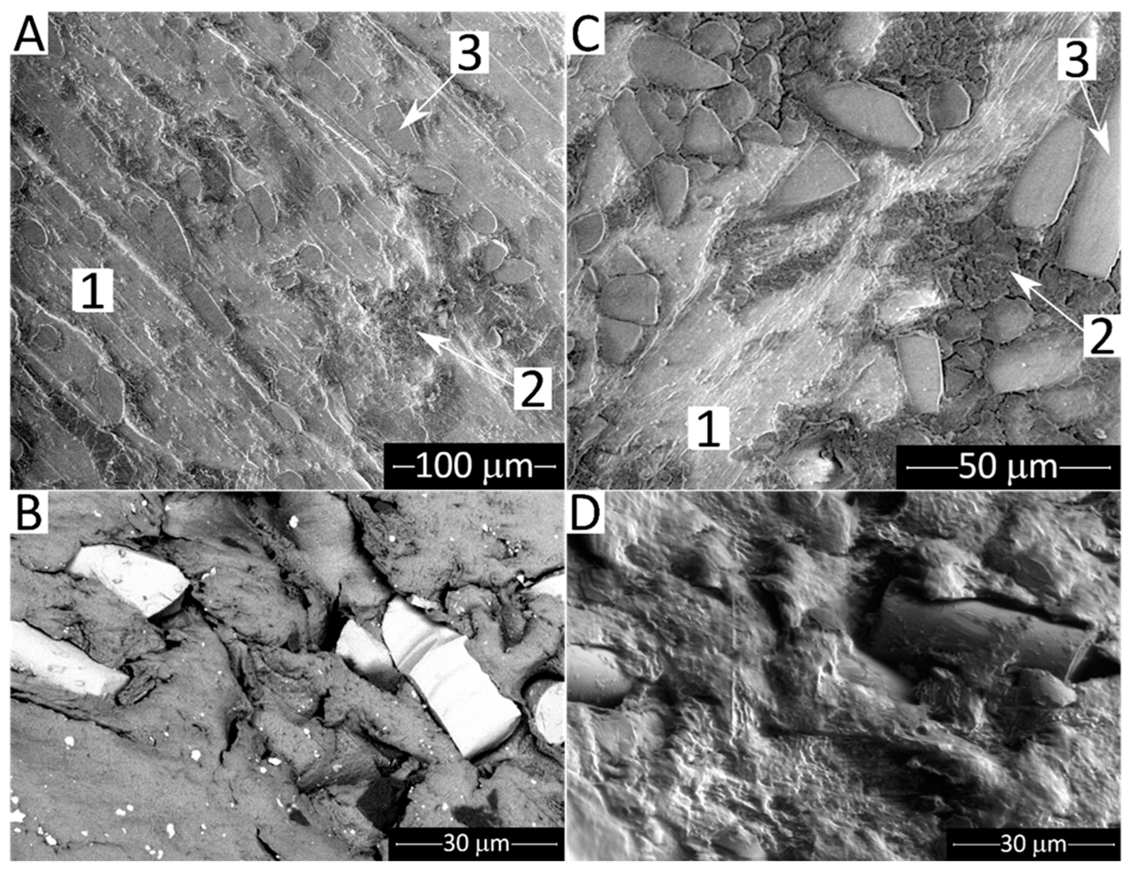Lubricants 10 00005 g011