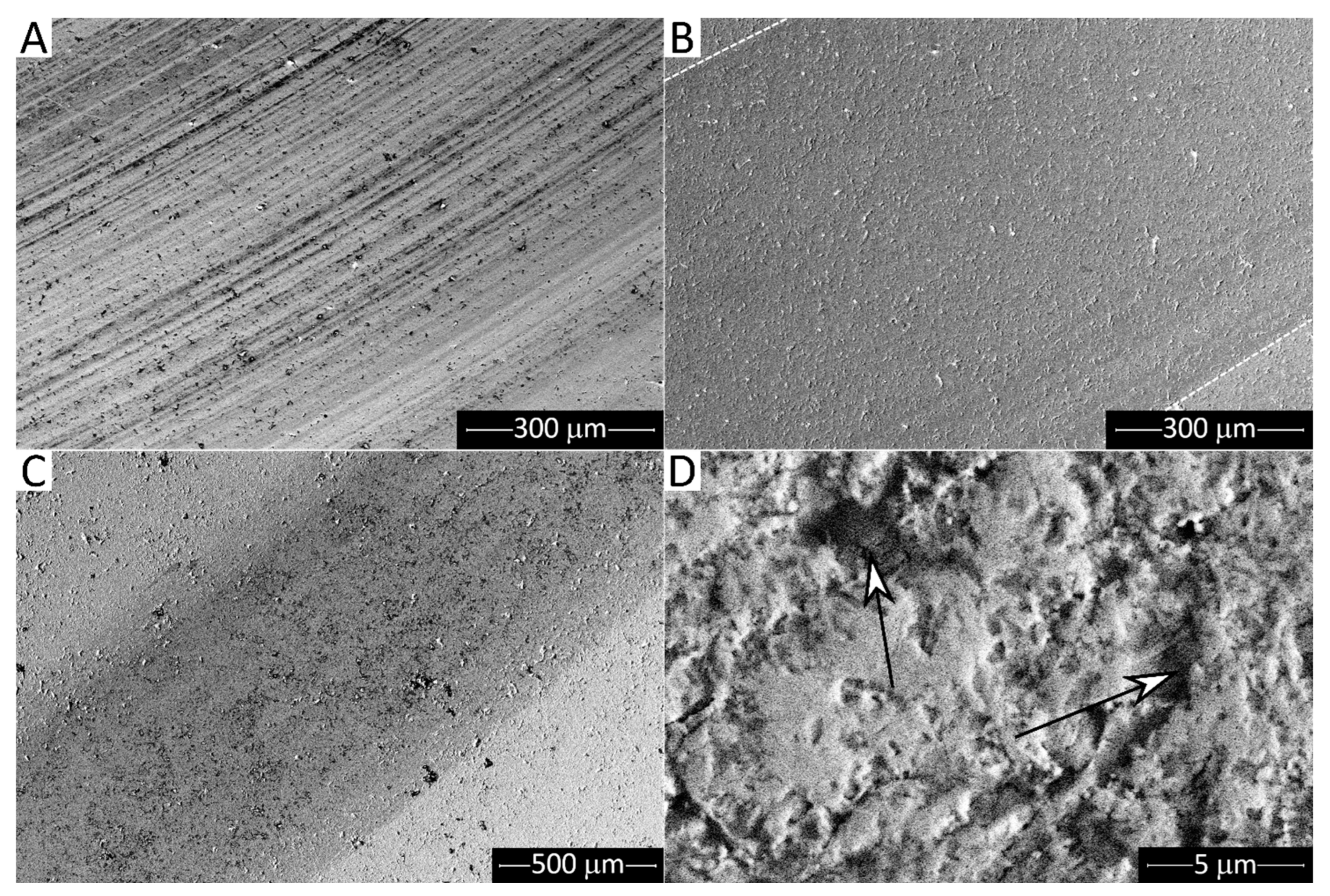 Lubricants 10 00005 g014