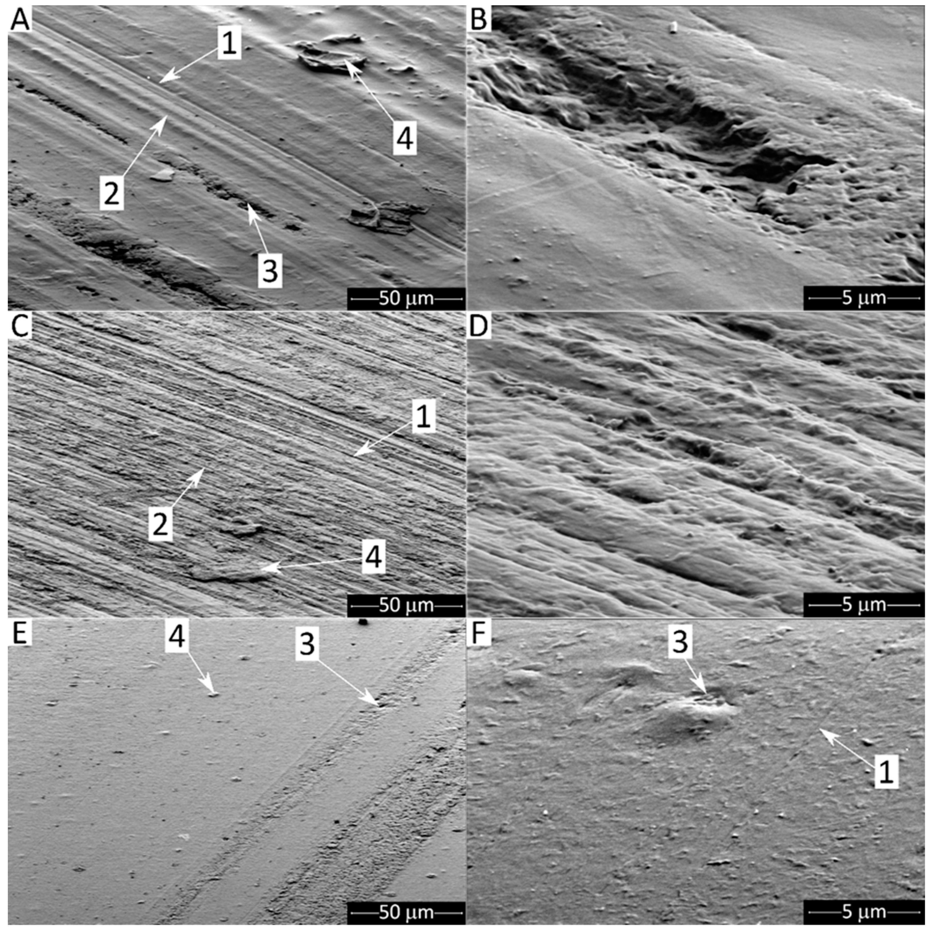 Lubricants 10 00005 g017