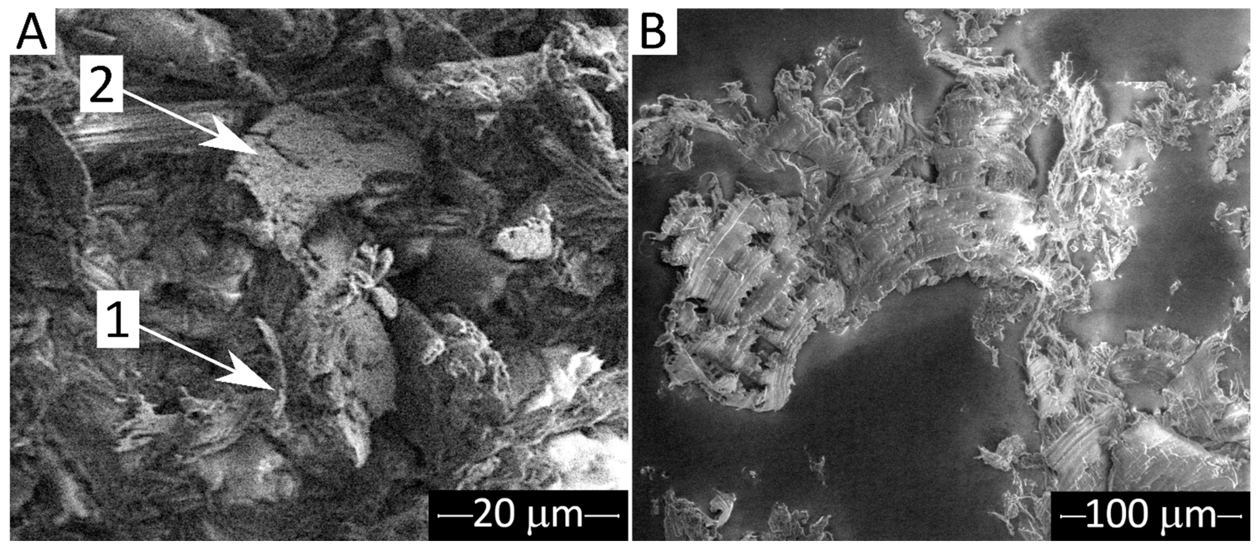 Lubricants 10 00005 g018