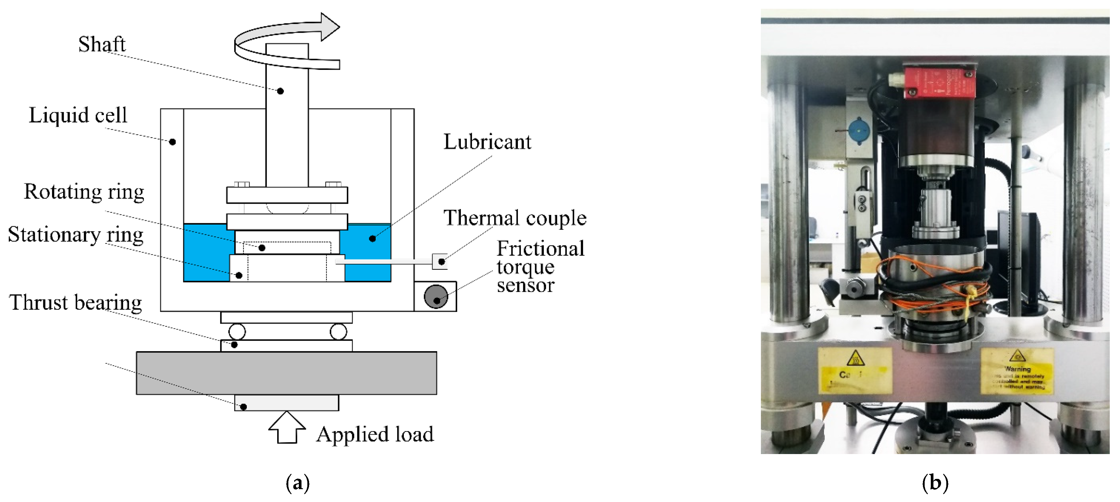 Lubricants 10 00012 g003