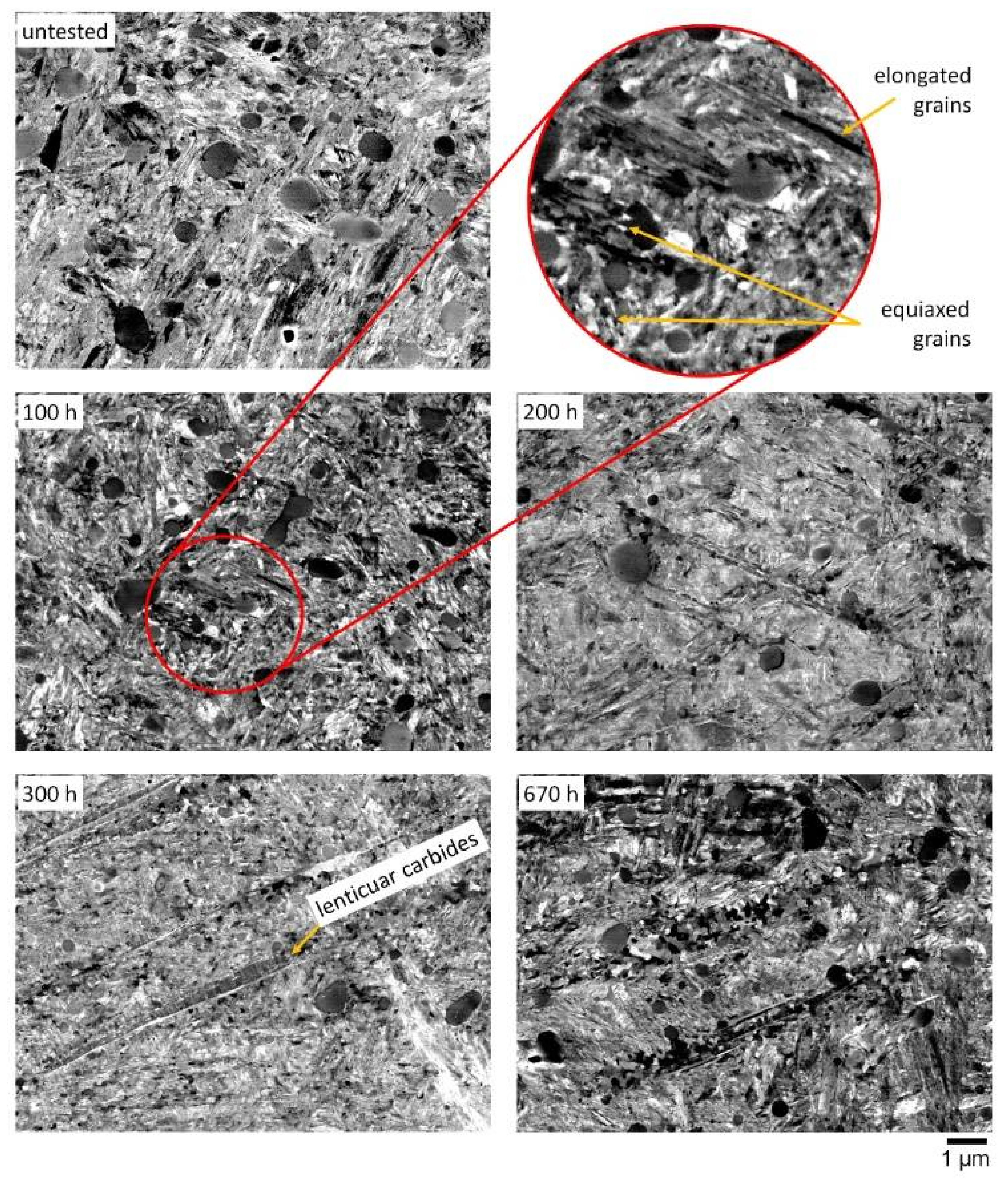Lubricants 10 00024 g004 550