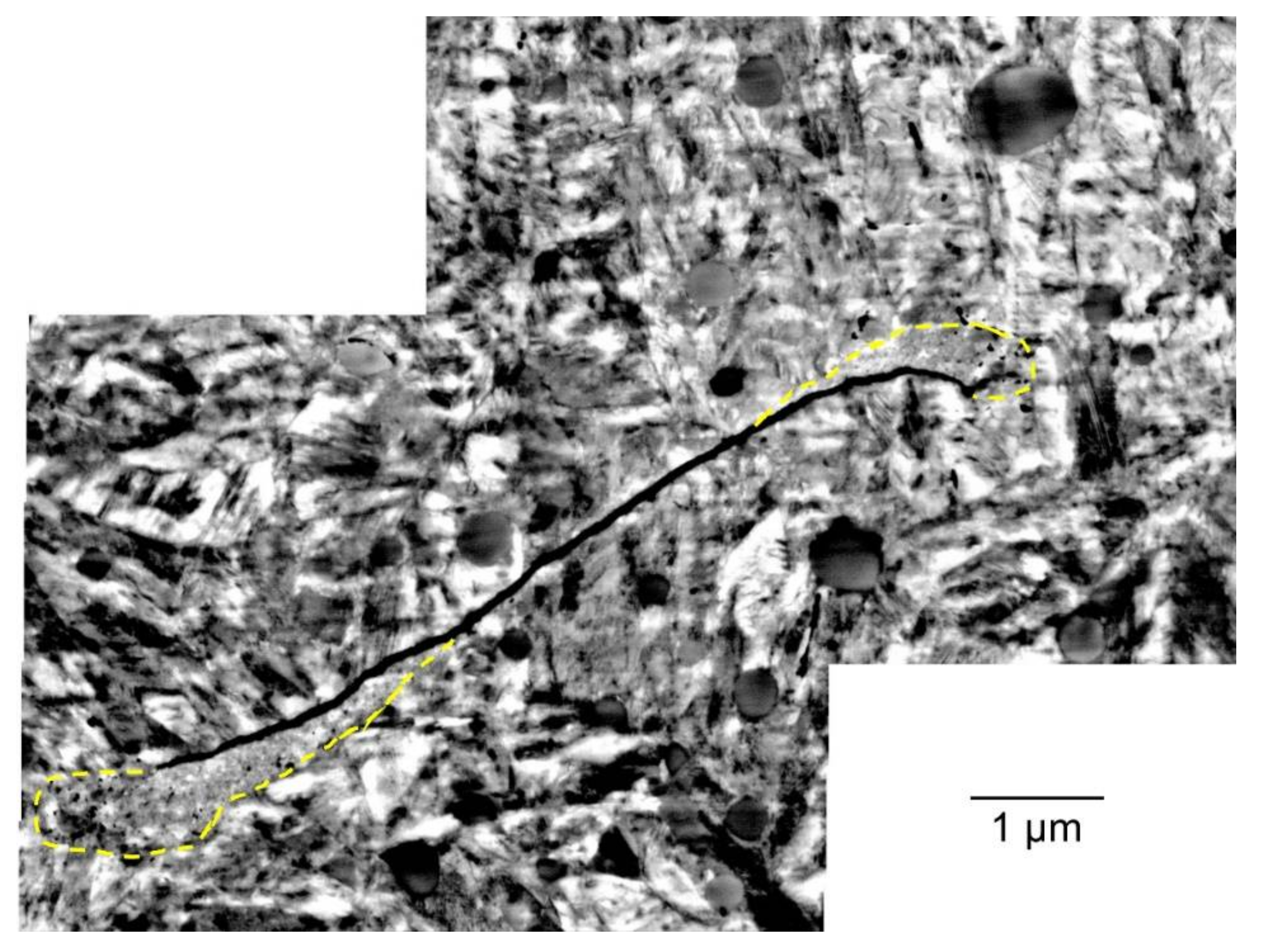 Lubricants 10 00024 g008 550