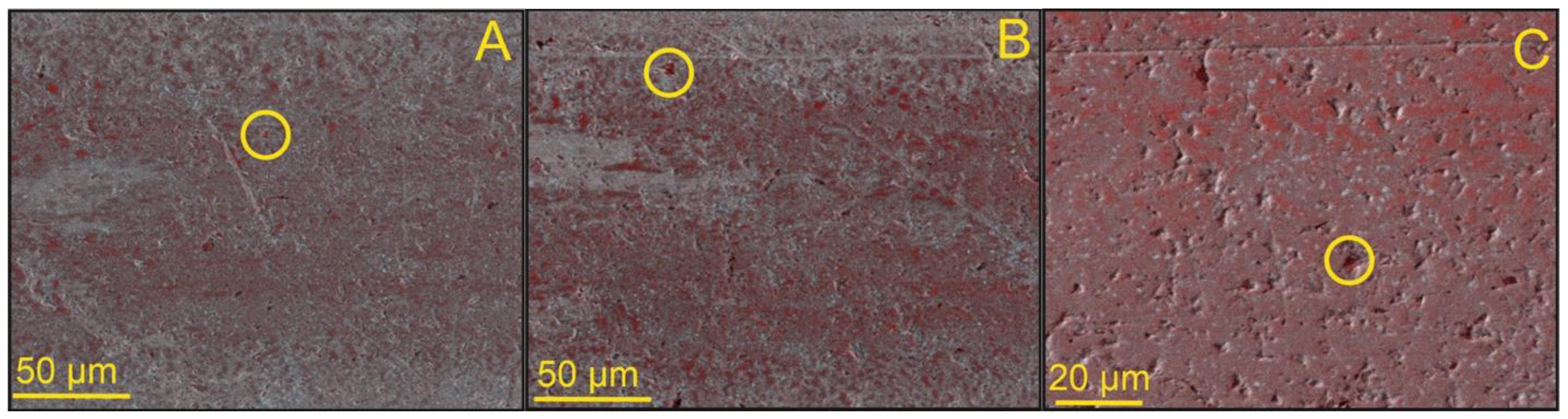 Lubricants 10 00028 g017 550