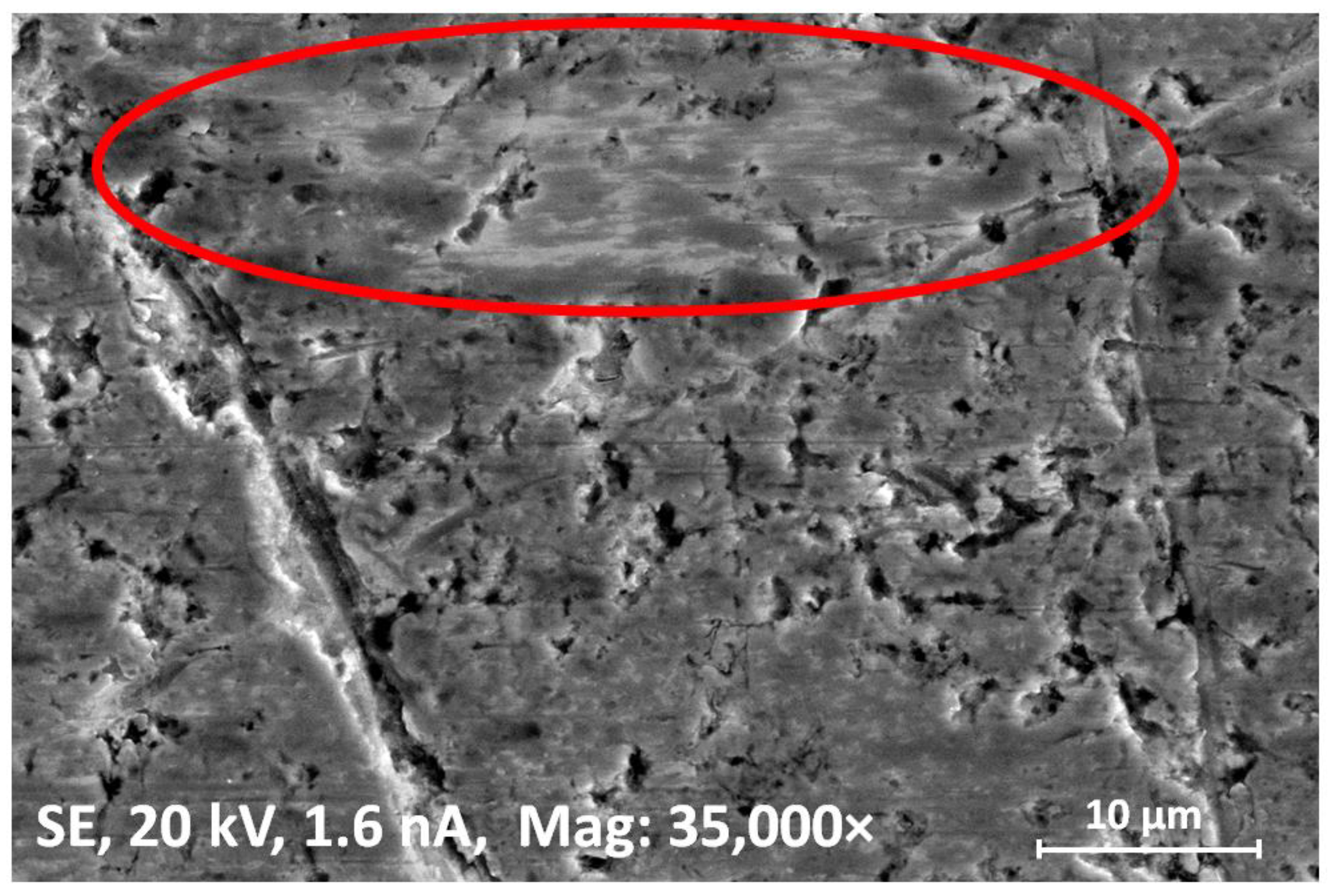 Lubricants 10 00028 g018 550