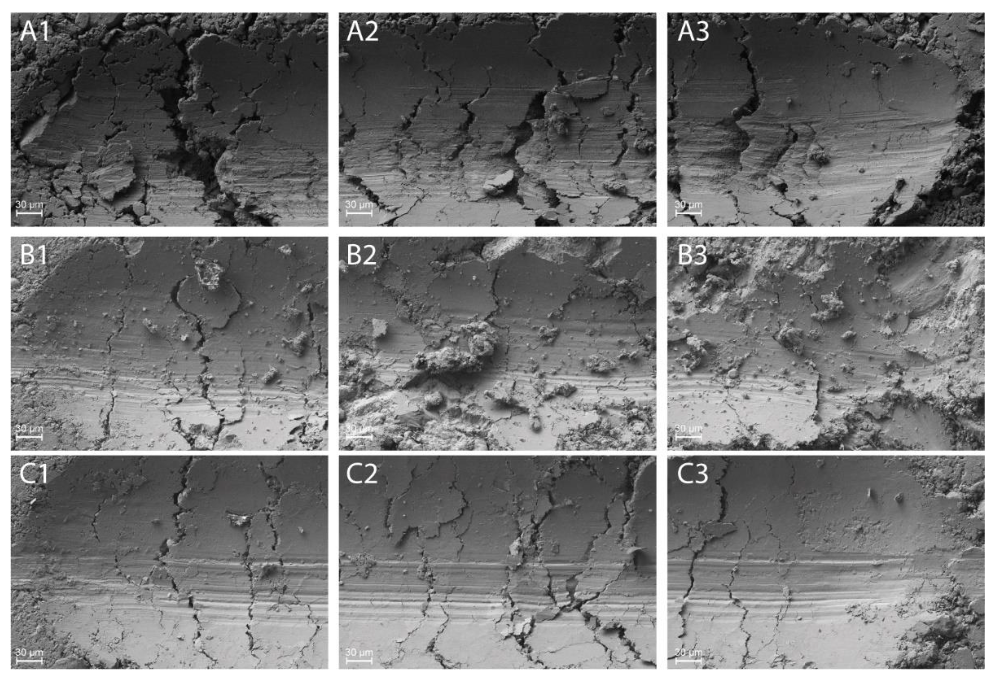 Lubricants 10 00035 g016a 550