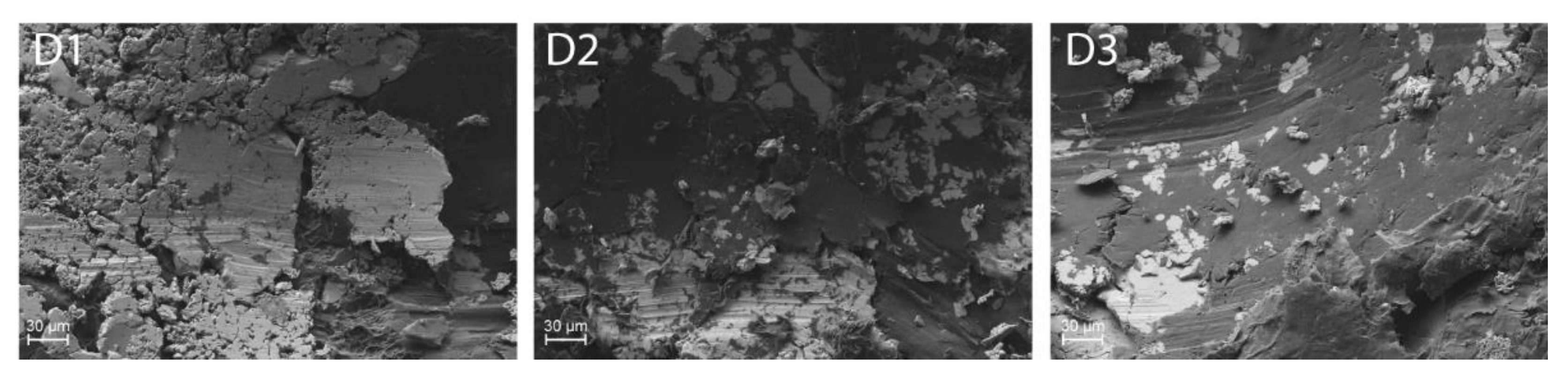 Lubricants 10 00035 g016b 550