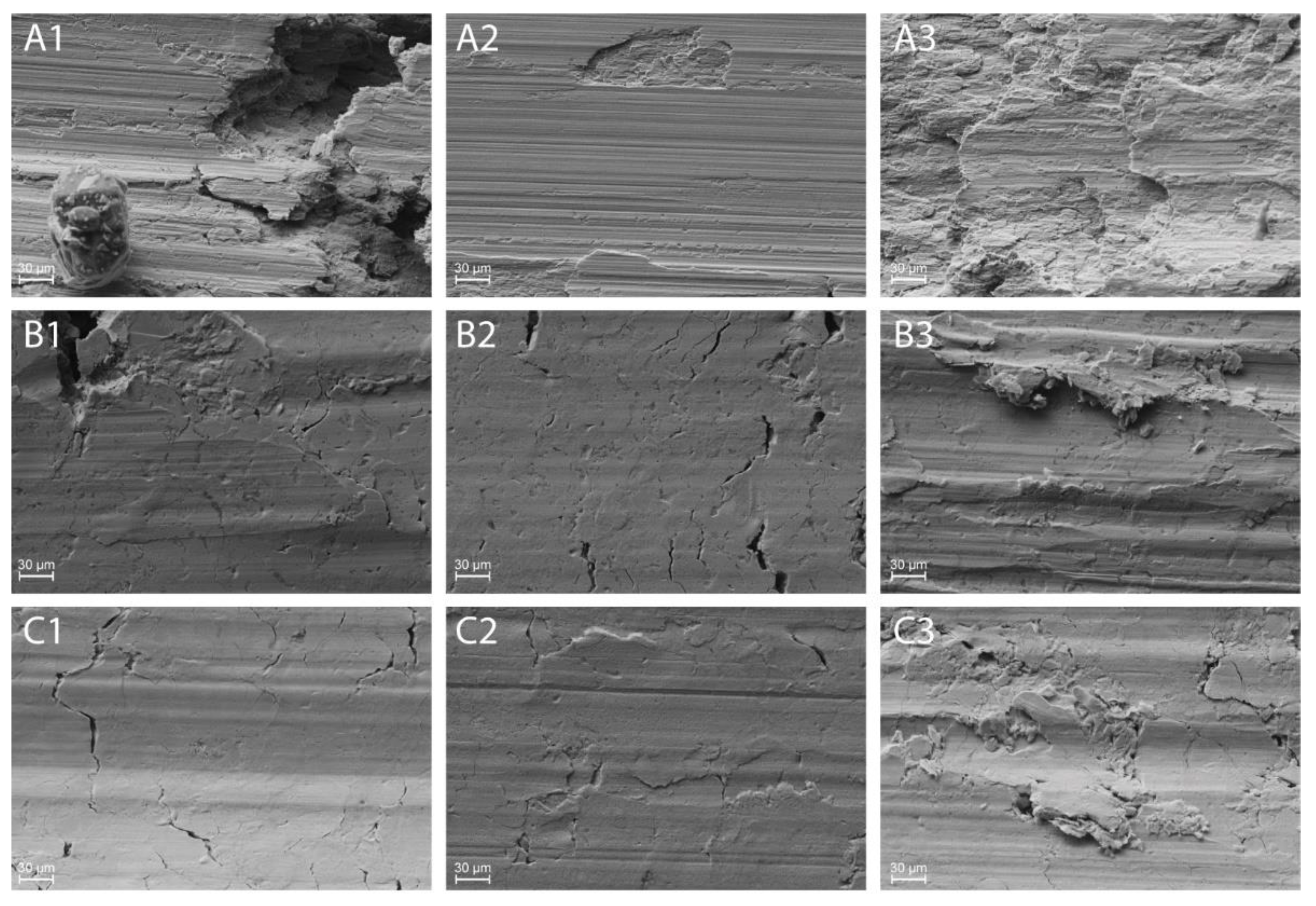 Lubricants 10 00035 g018a 550