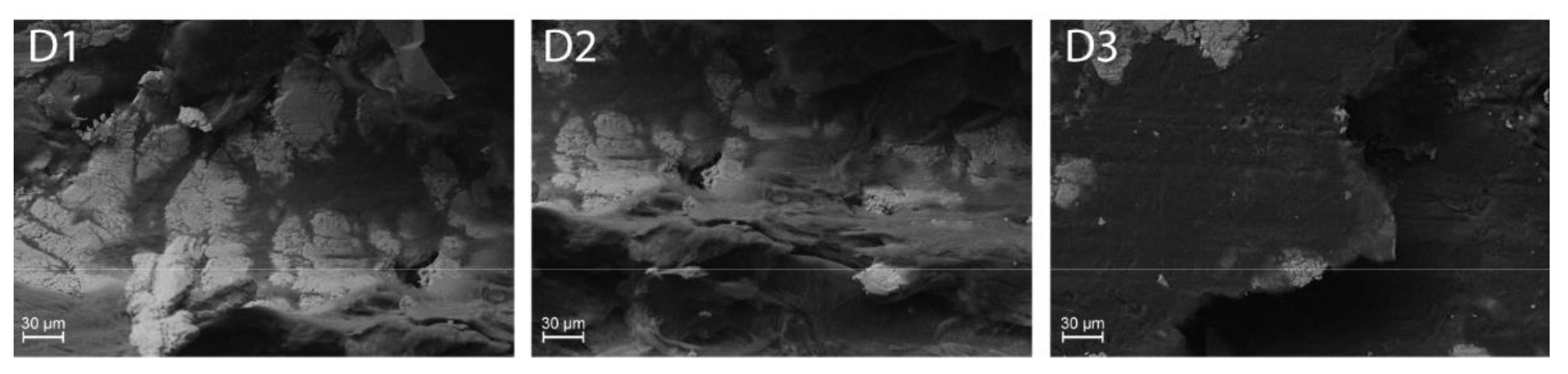 Lubricants 10 00035 g018b 550