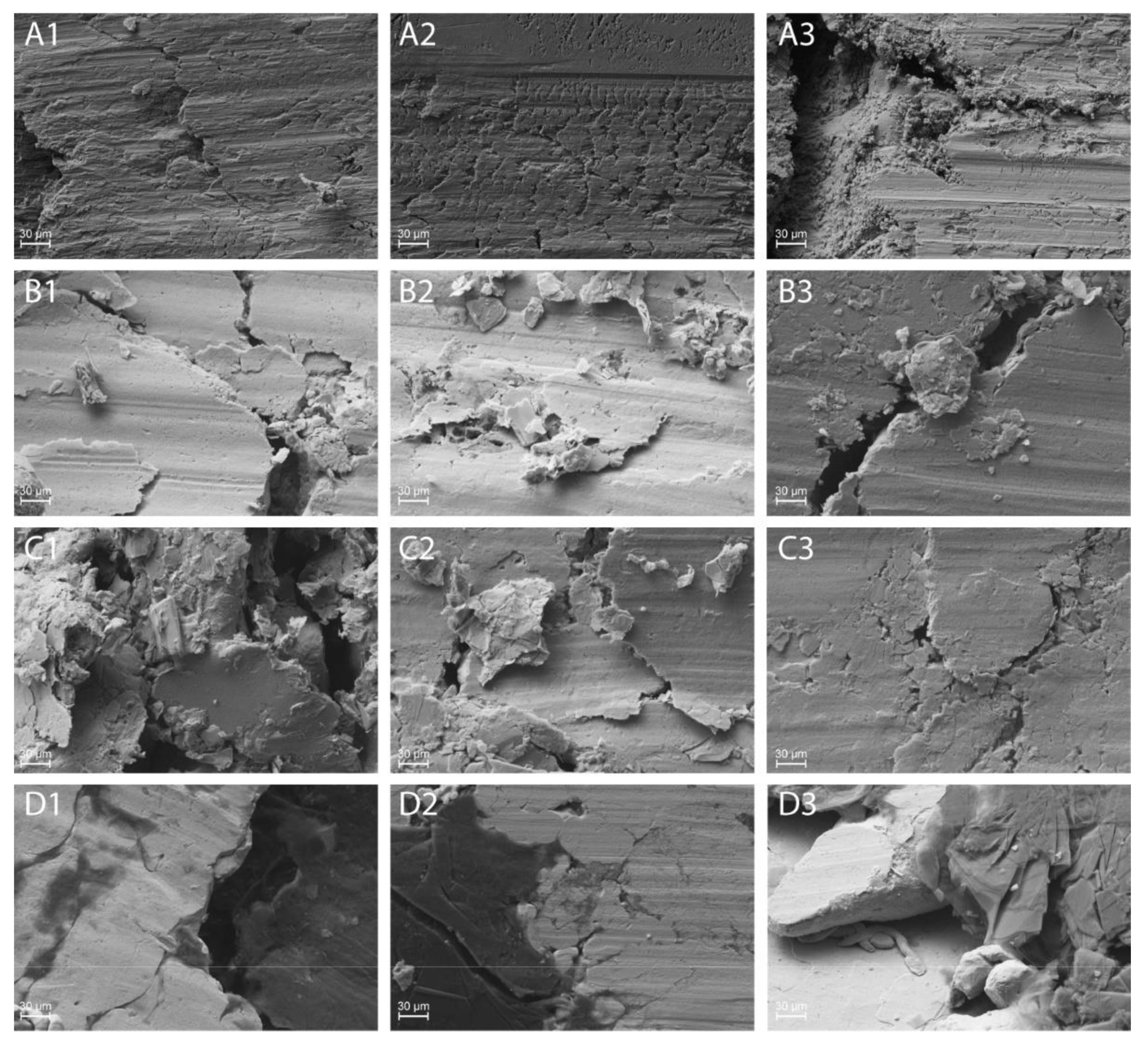 Lubricants 10 00035 g019 550