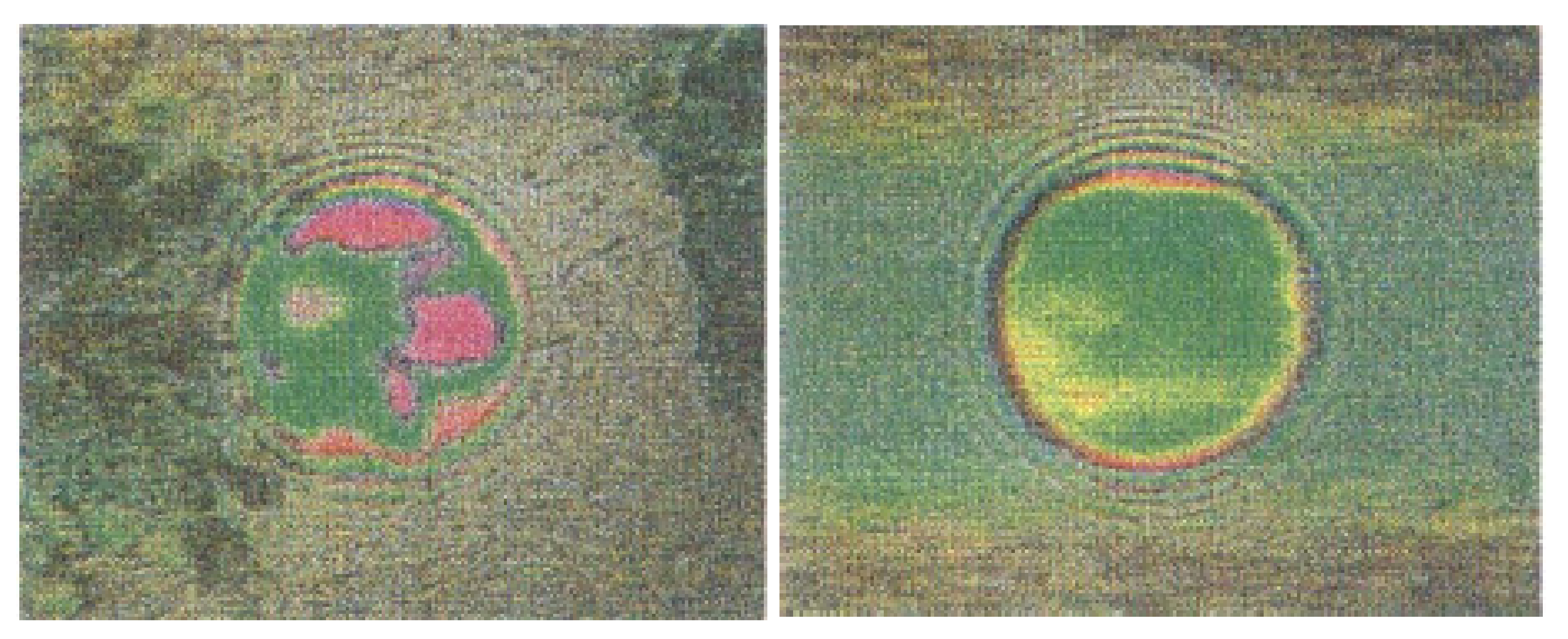 Lubricants 10 00036 g002