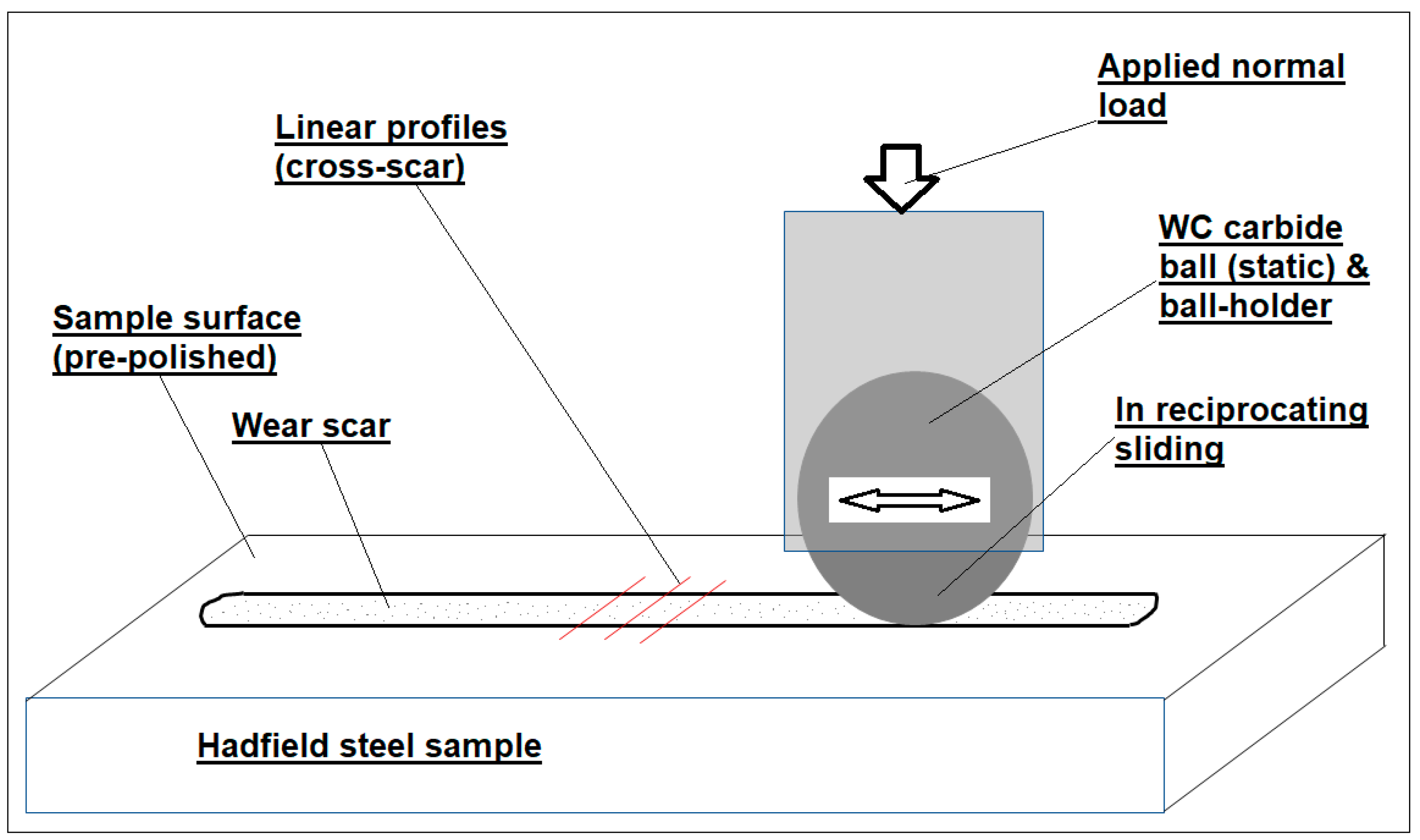 Lubricants 10 00037 g002