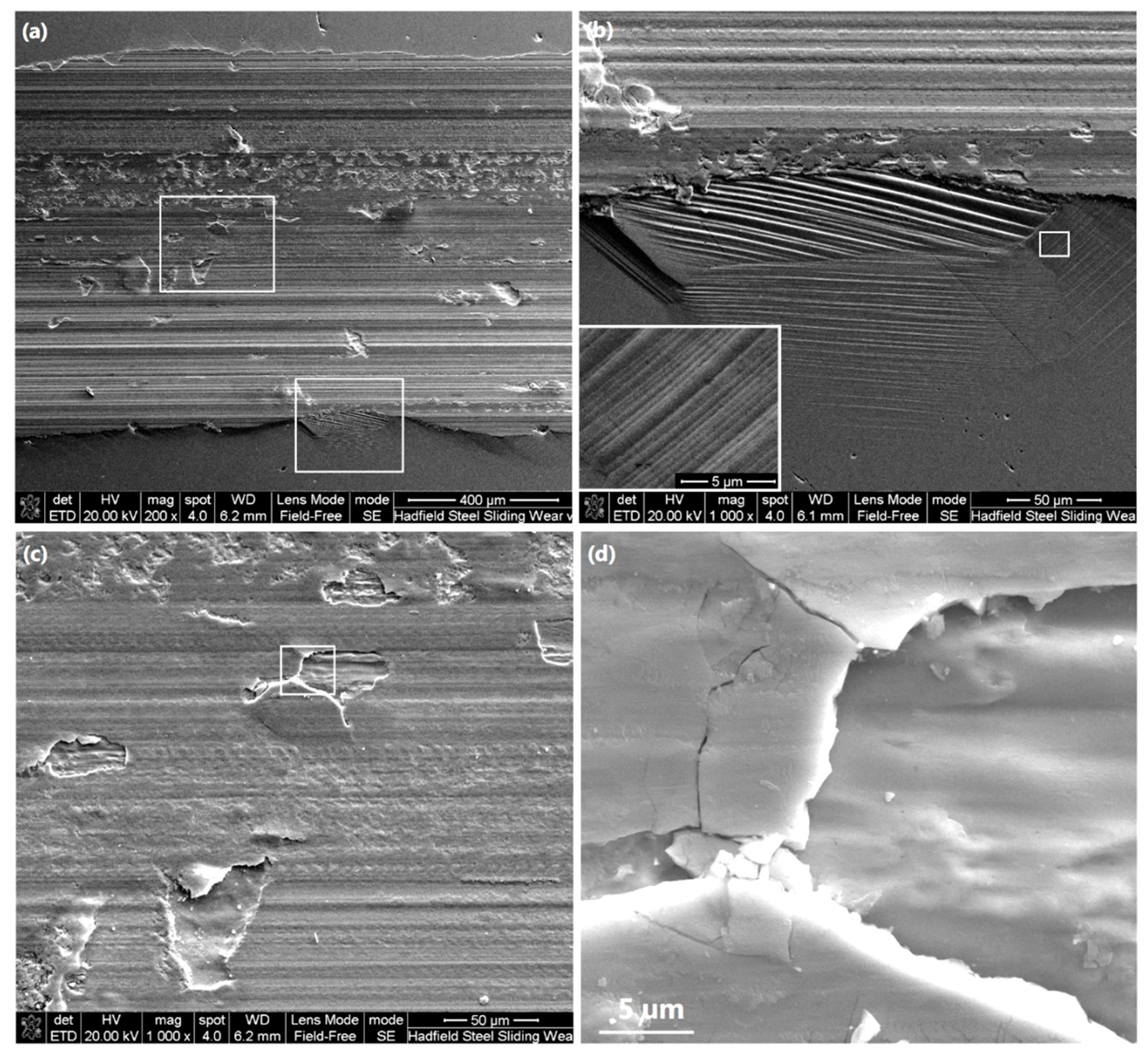 Lubricants 10 00037 g006