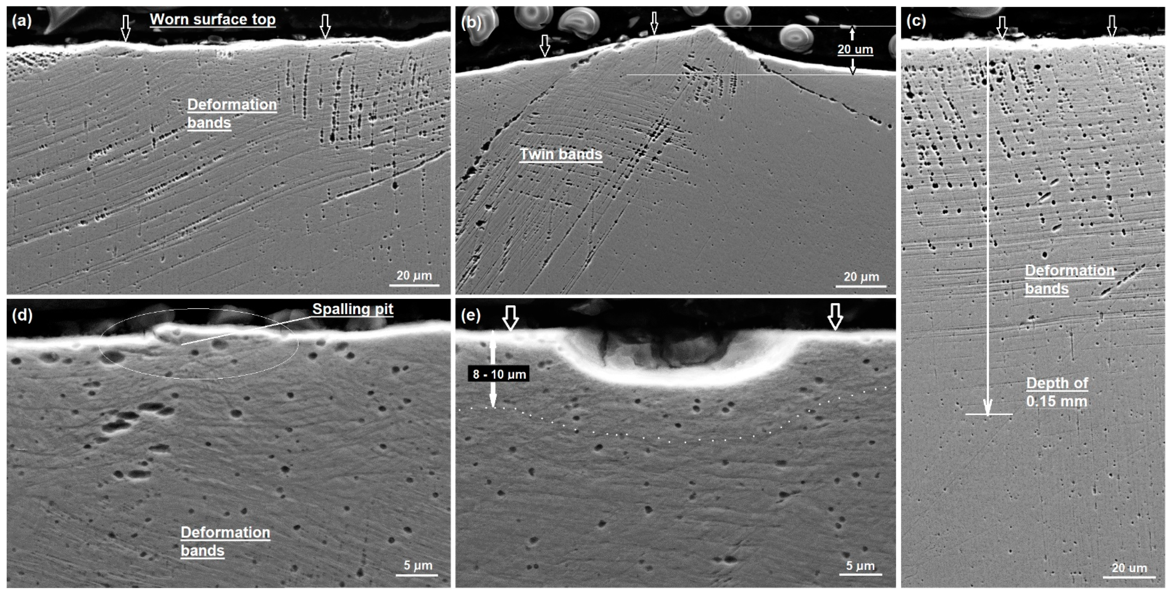 Lubricants 10 00037 g009