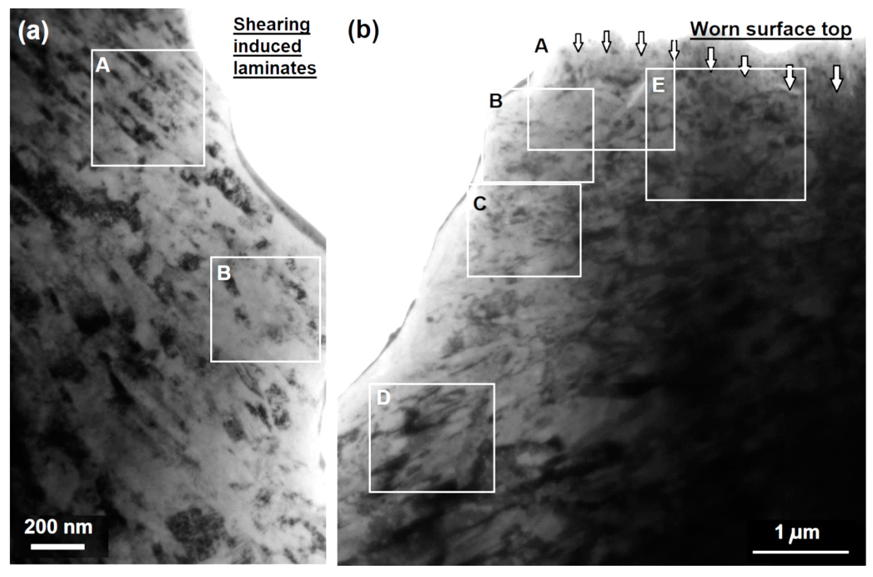 Lubricants 10 00037 g011