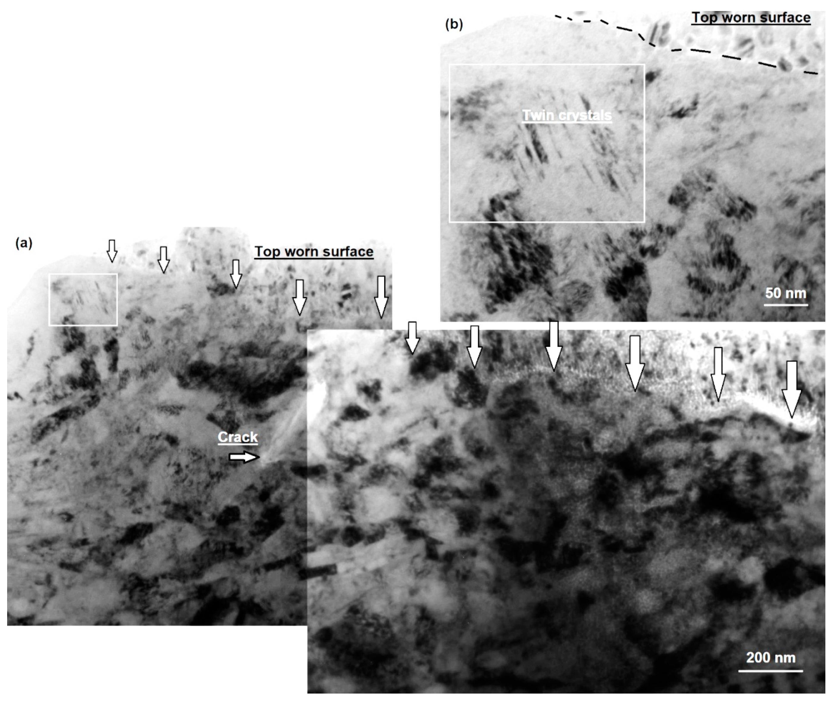 Lubricants 10 00037 g012