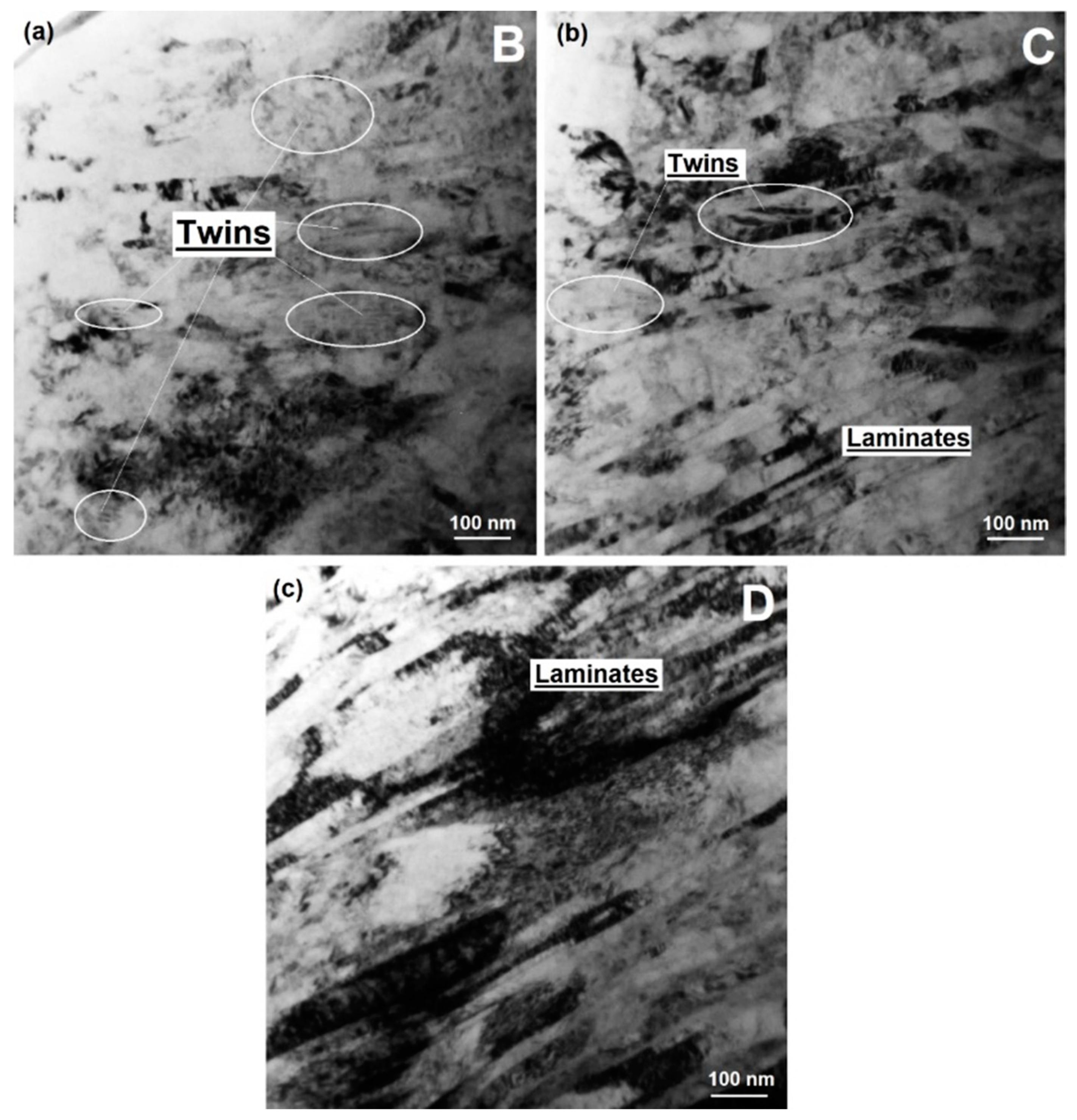 Lubricants 10 00037 g013