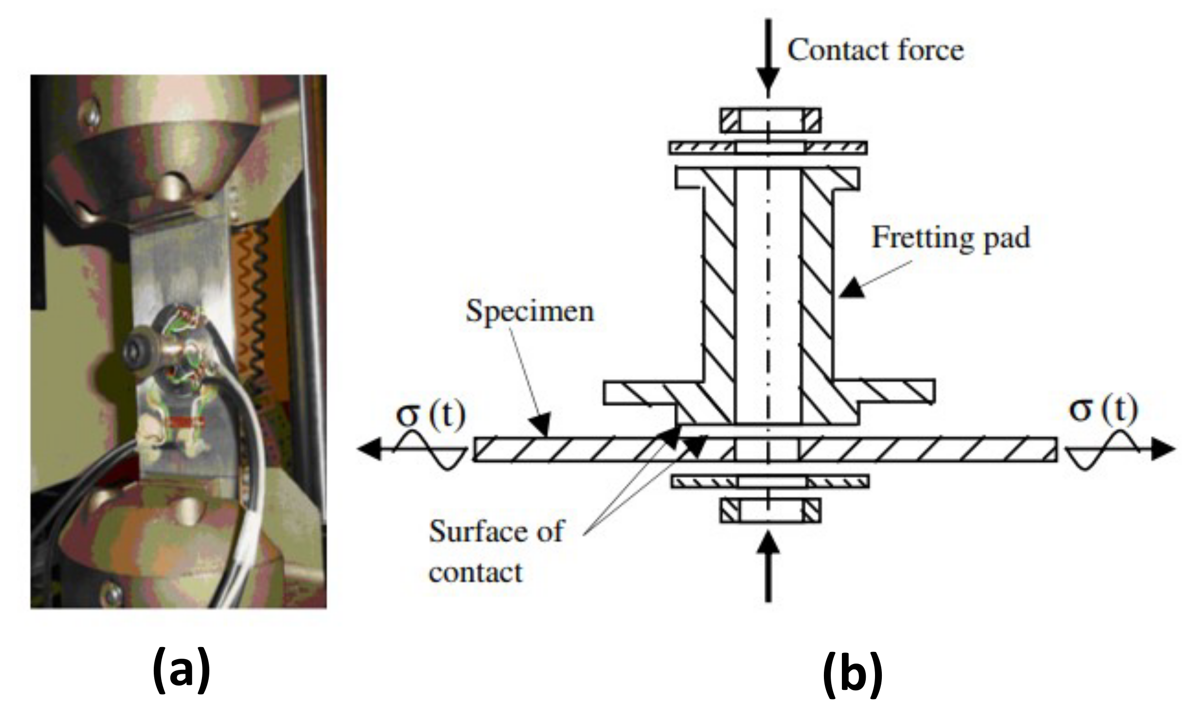 Lubricants 10 00053 g049