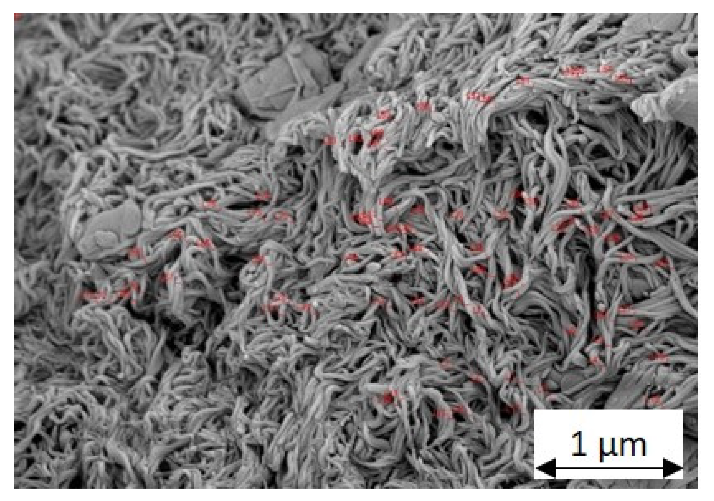 Lubricants 10 00055 g001