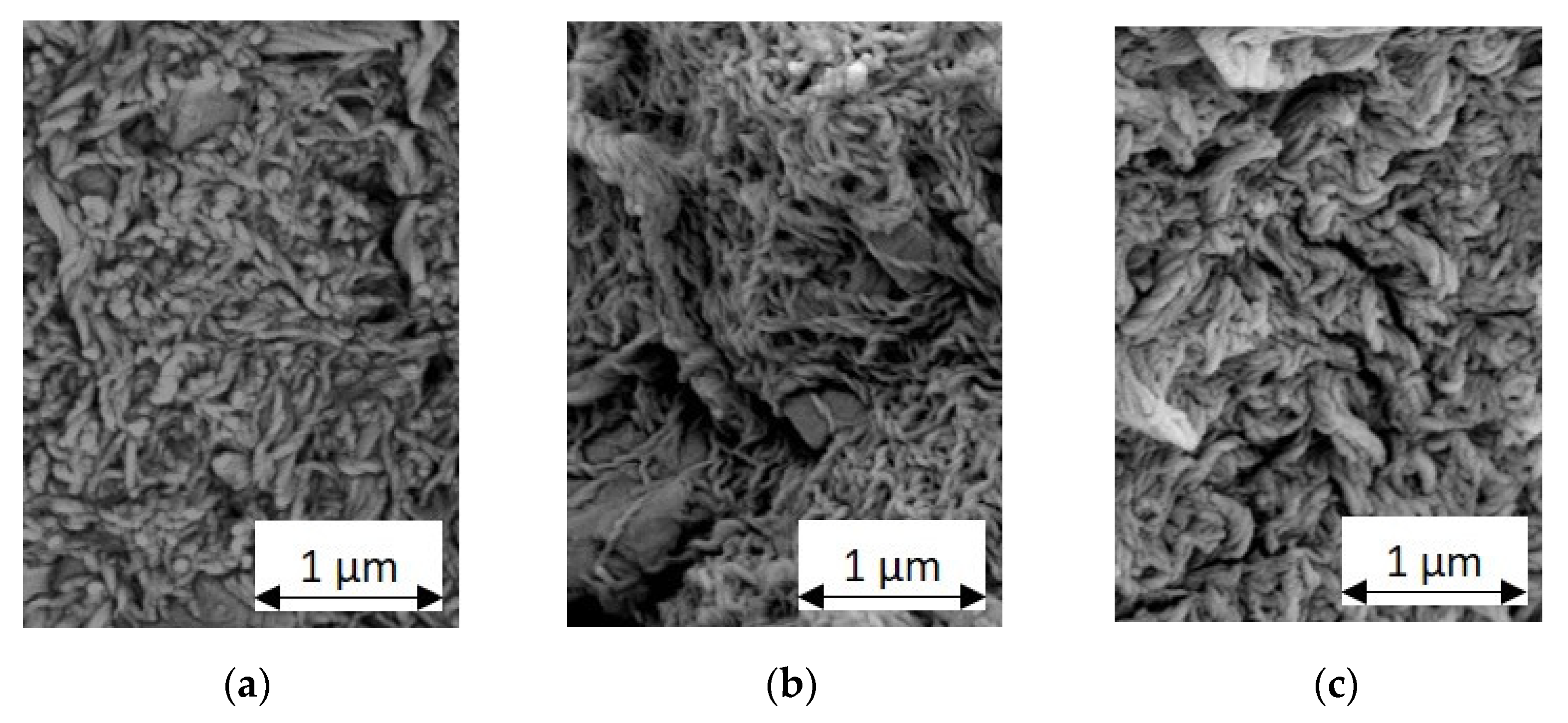 Lubricants 10 00055 g006