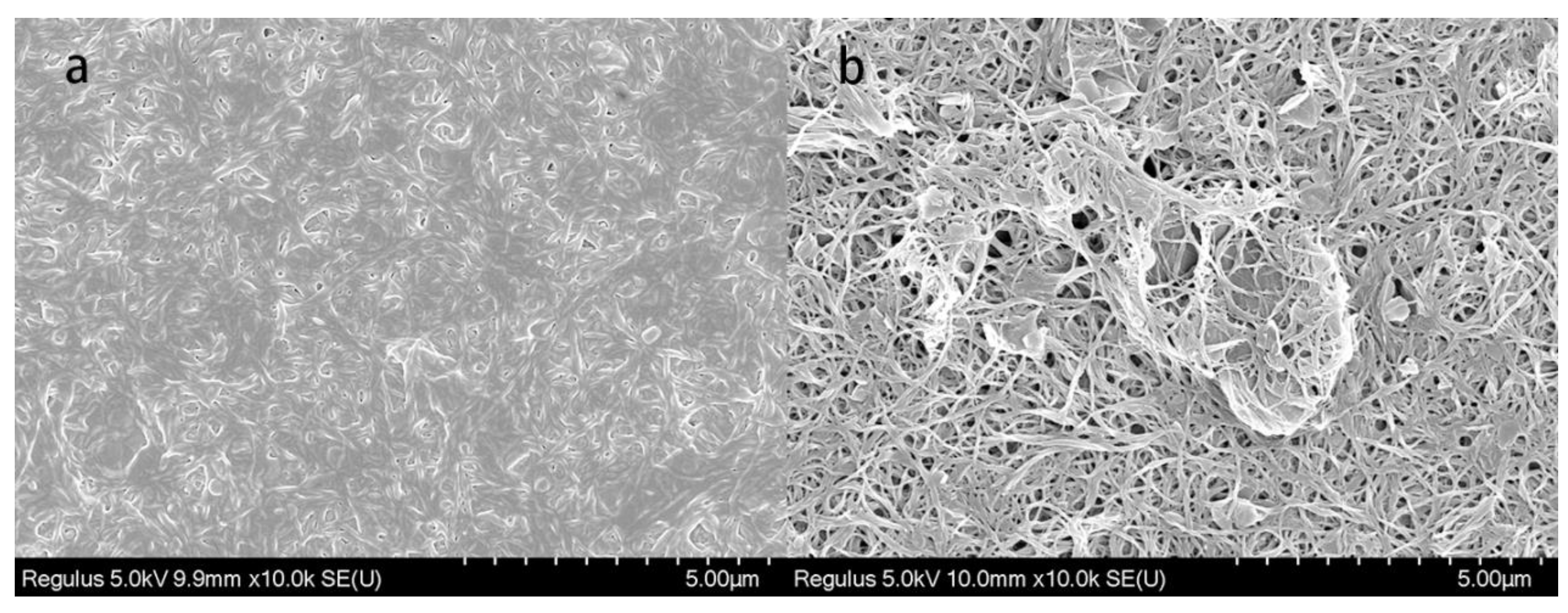Lubricants 10 00057 g002 550