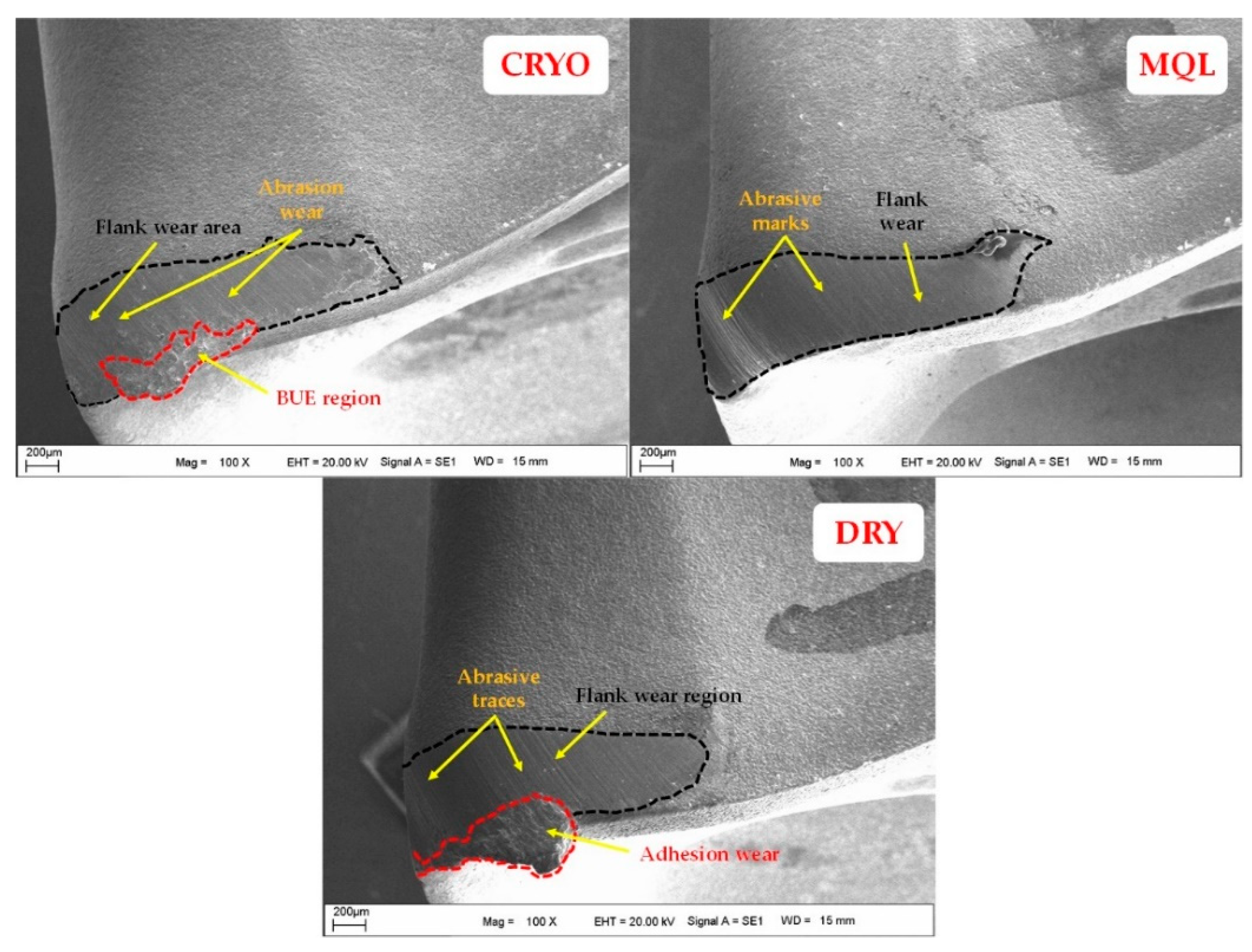 Lubricants 10 00063 g004 550