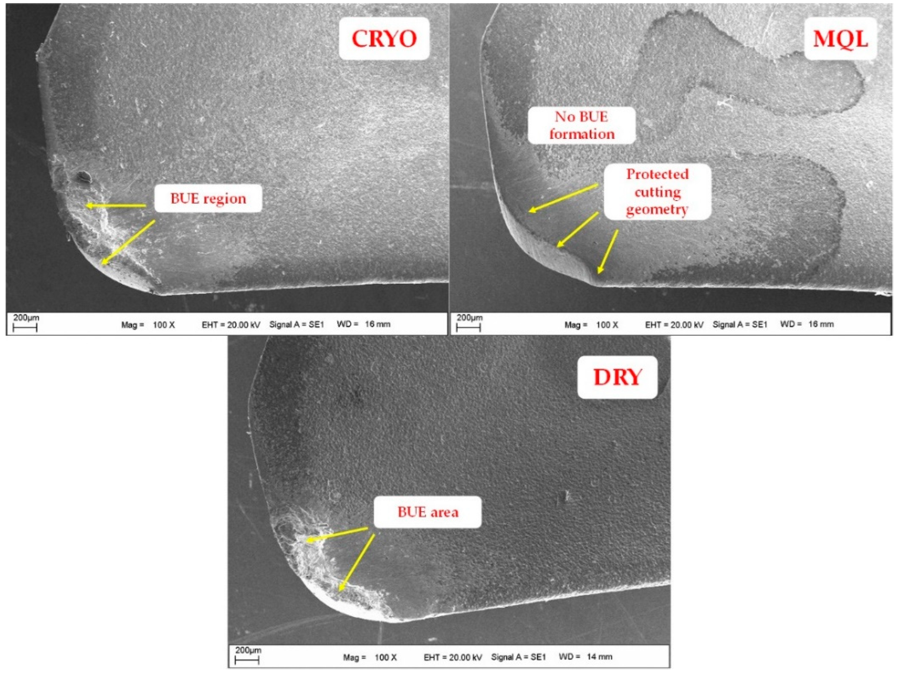 Lubricants 10 00063 g005 550