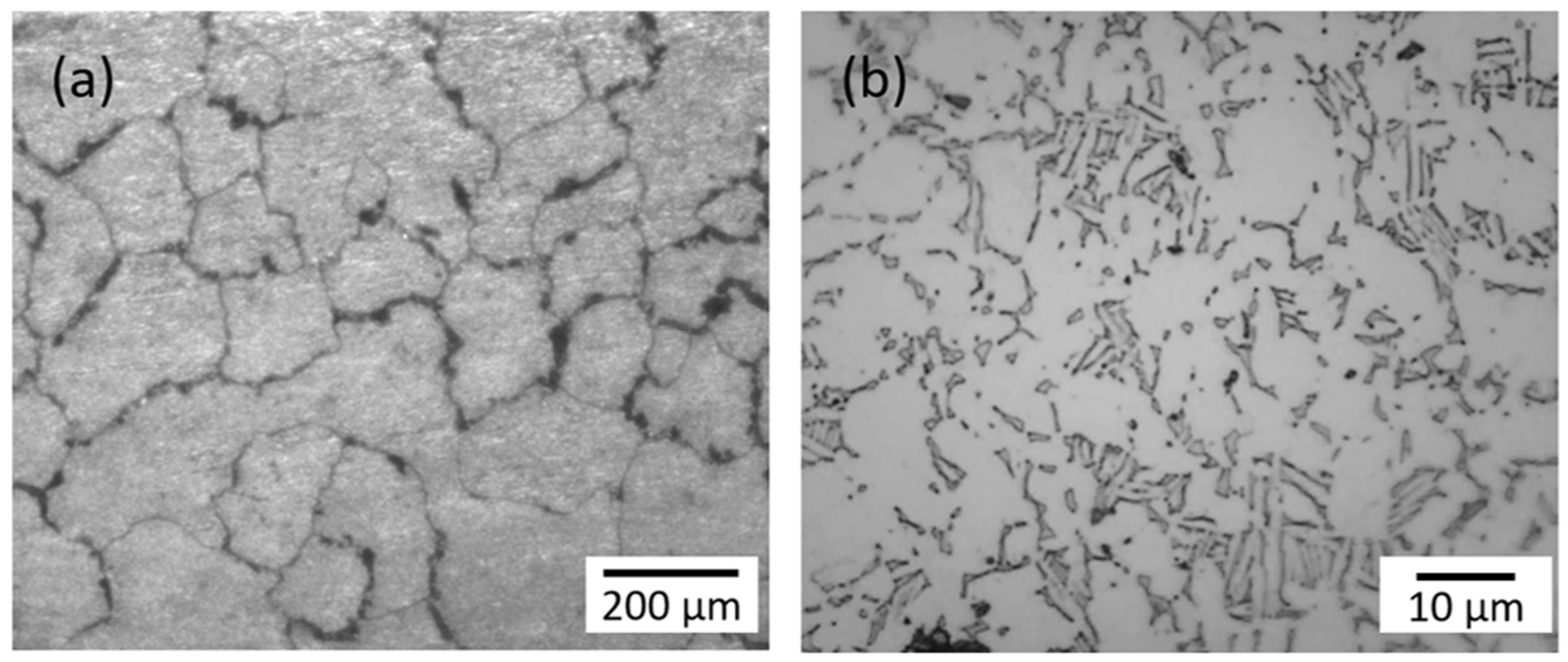 Lubricants 10 00065 g001