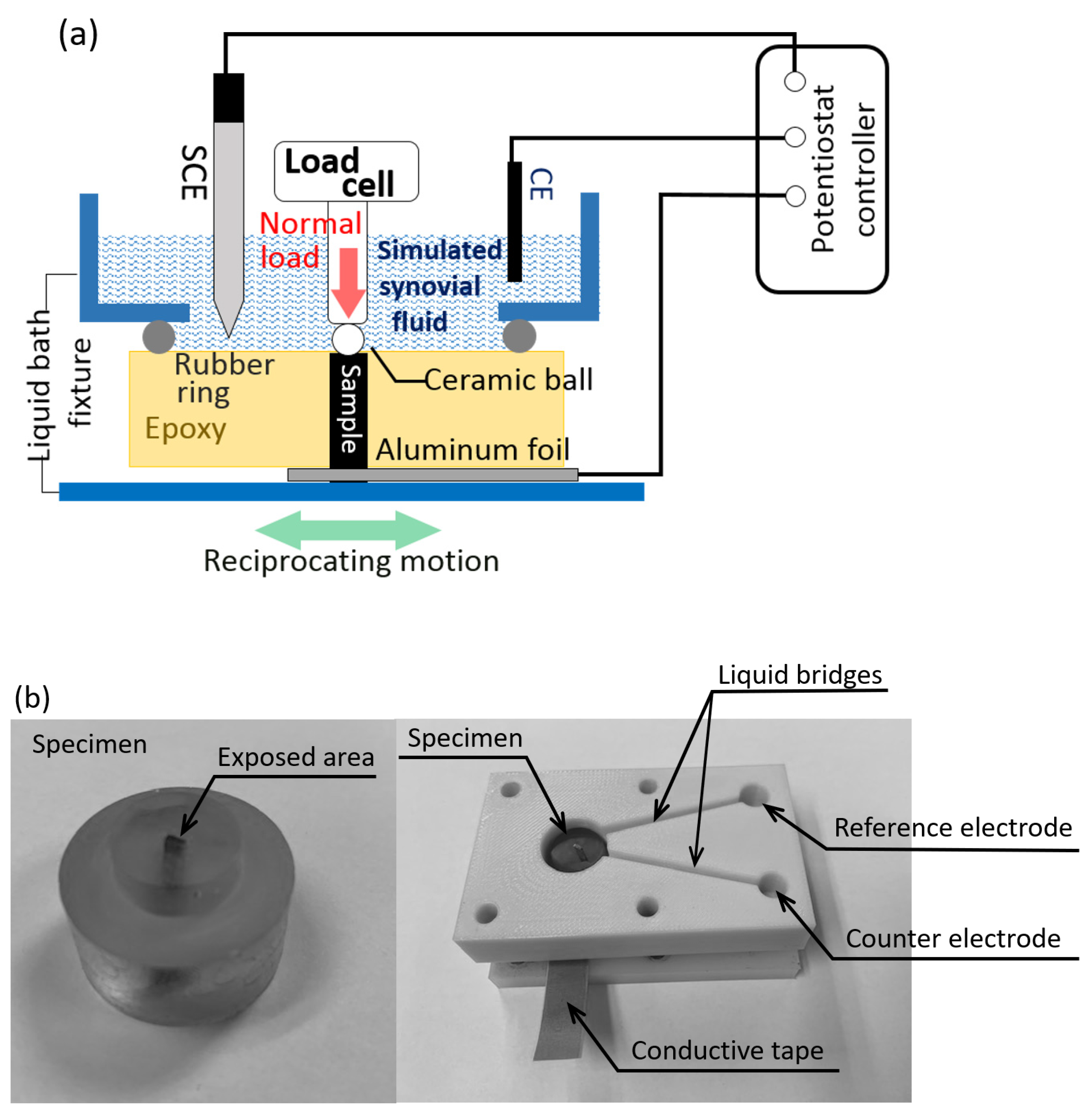 Lubricants 10 00065 g002