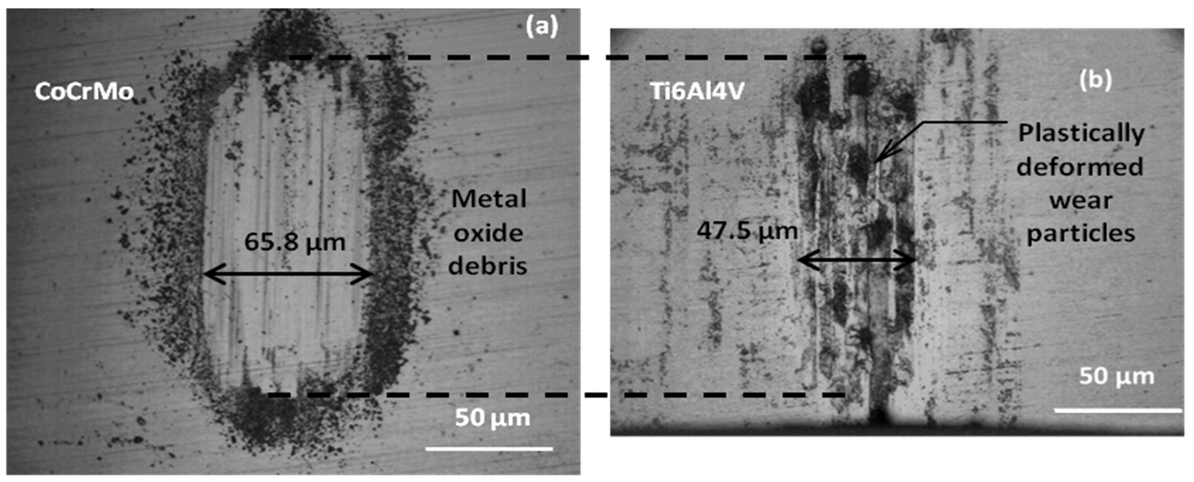 Lubricants 10 00065 g006