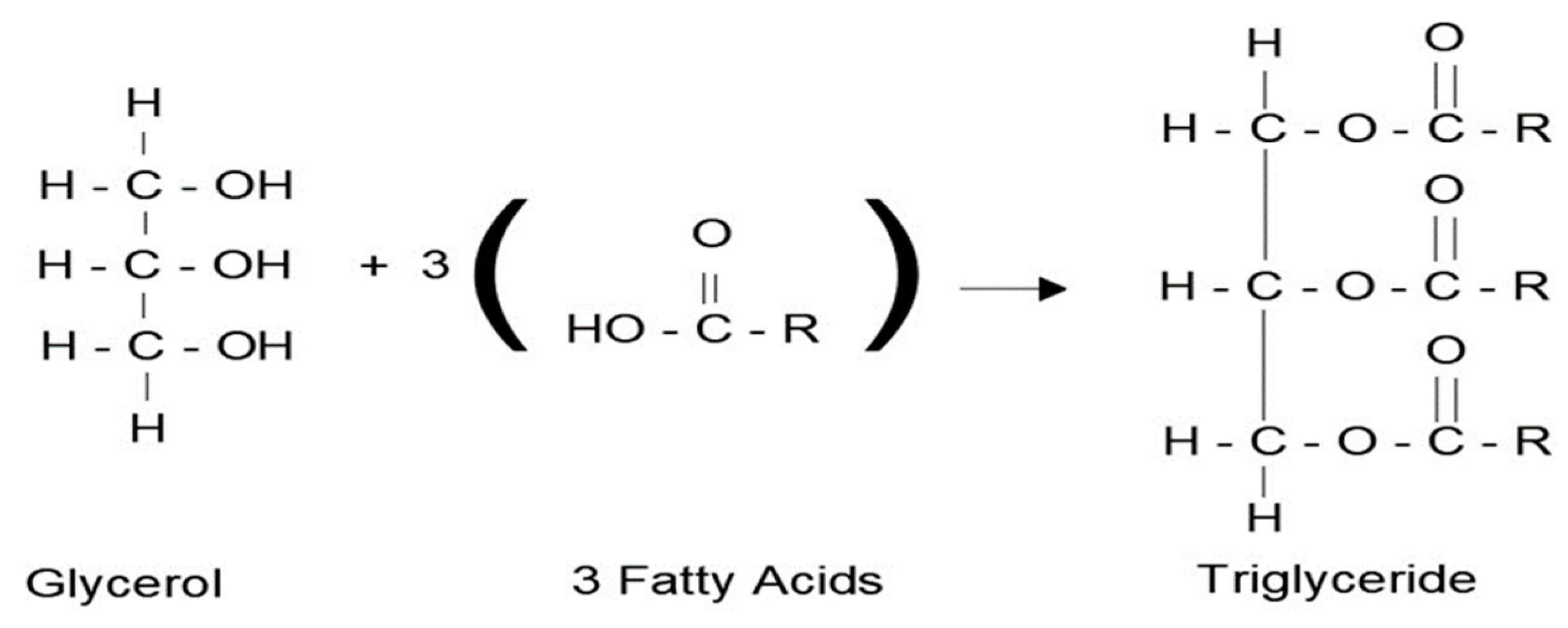 Lubricants 10 00069 g002 550