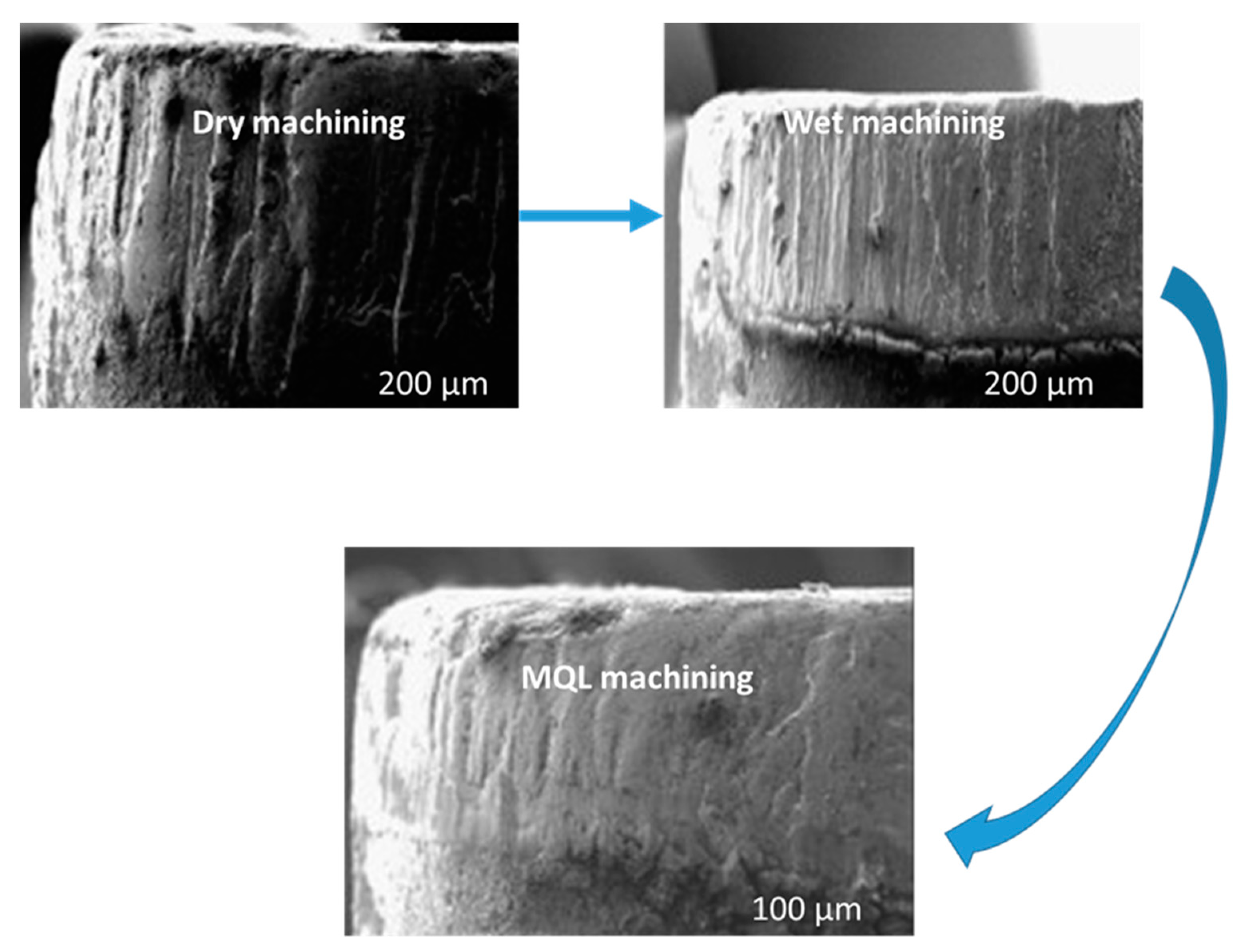 Lubricants 10 00069 g003 550