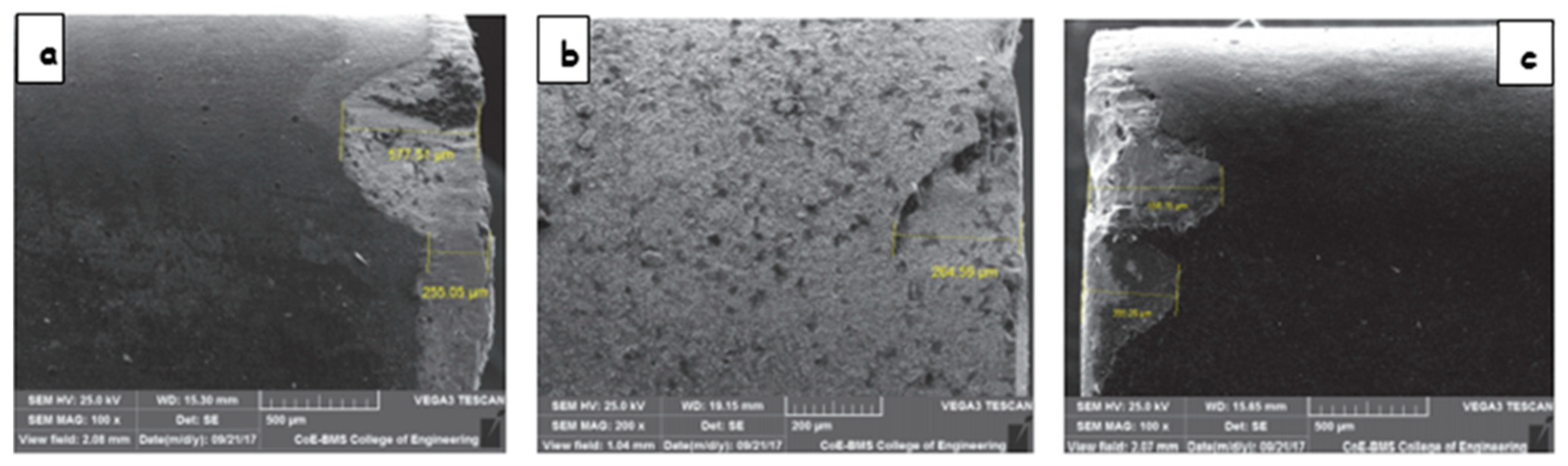 Lubricants 10 00069 g008 550