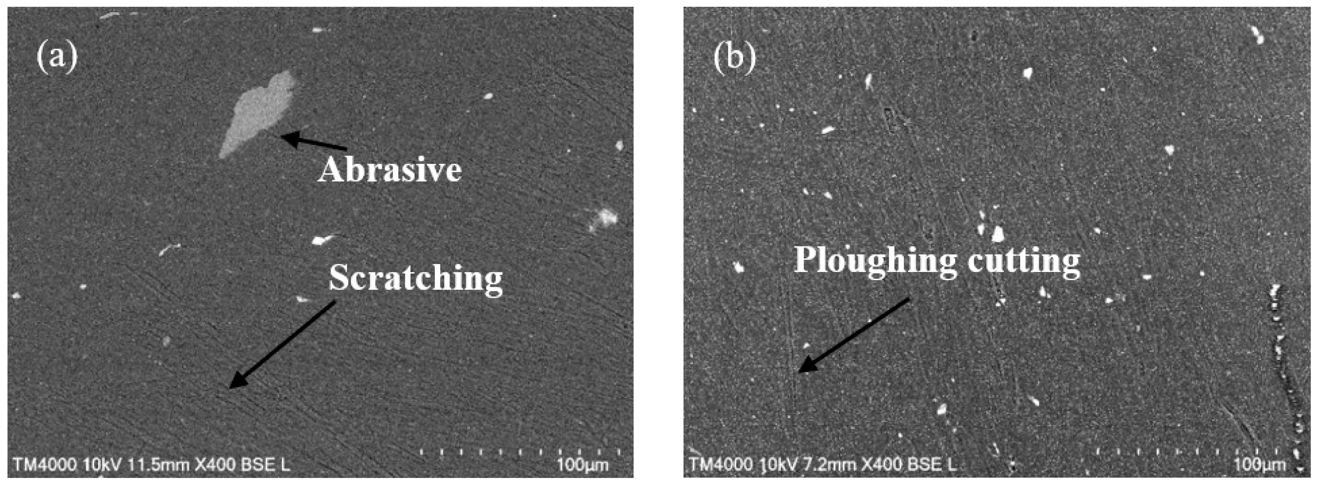 Lubricants 10 00078 g009a