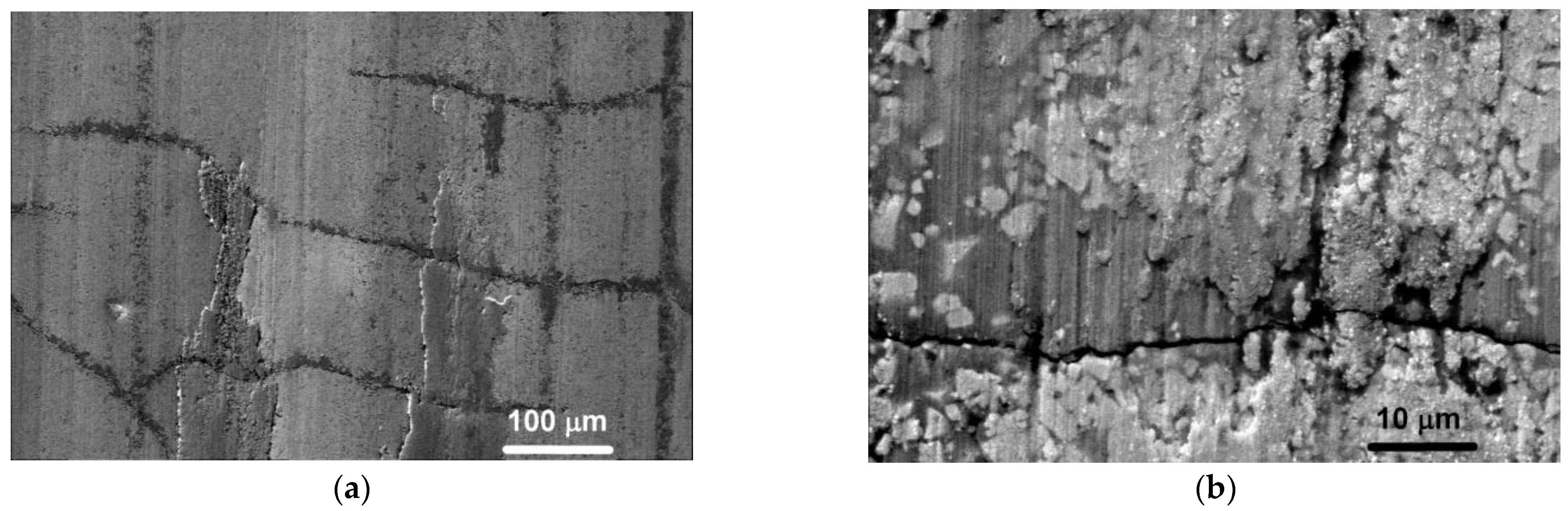Lubricants 10 00086 g005 550