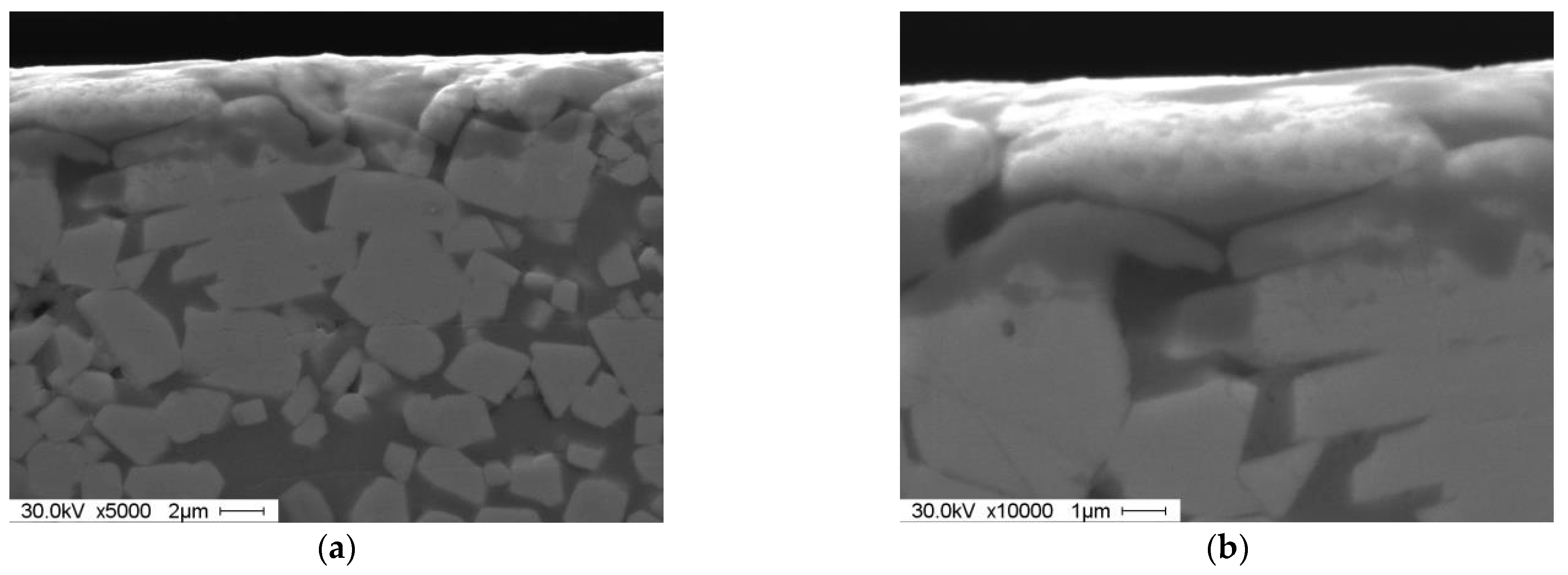 Lubricants 10 00086 g008 550