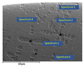 Lubricants 10 00090 i001